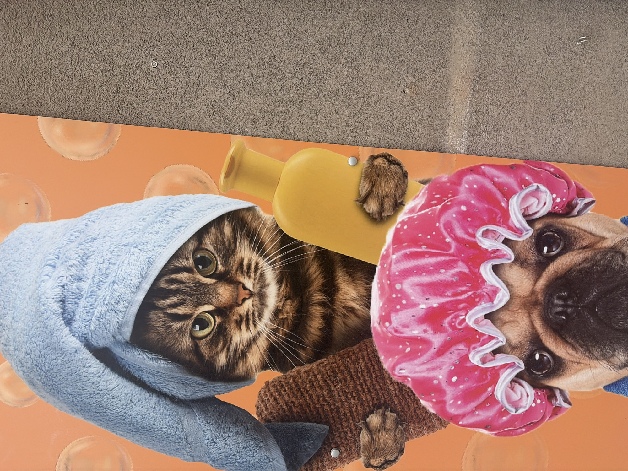 Daily life moments documented across Plovdiv, Bulgaria