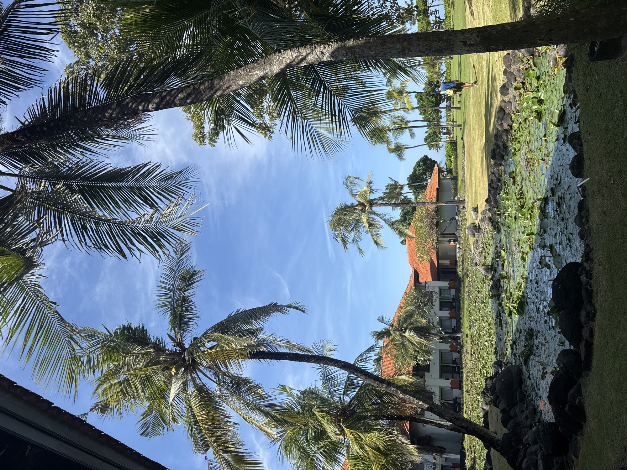 Woman makes hand gestures under palms in Kuta Selatan