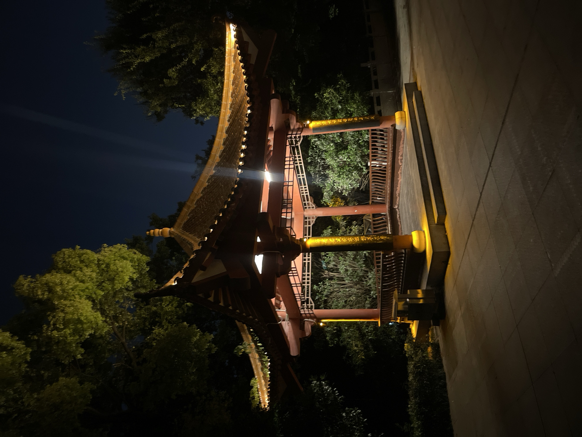 Nighttime scenes of illuminated East Asian architecture documented