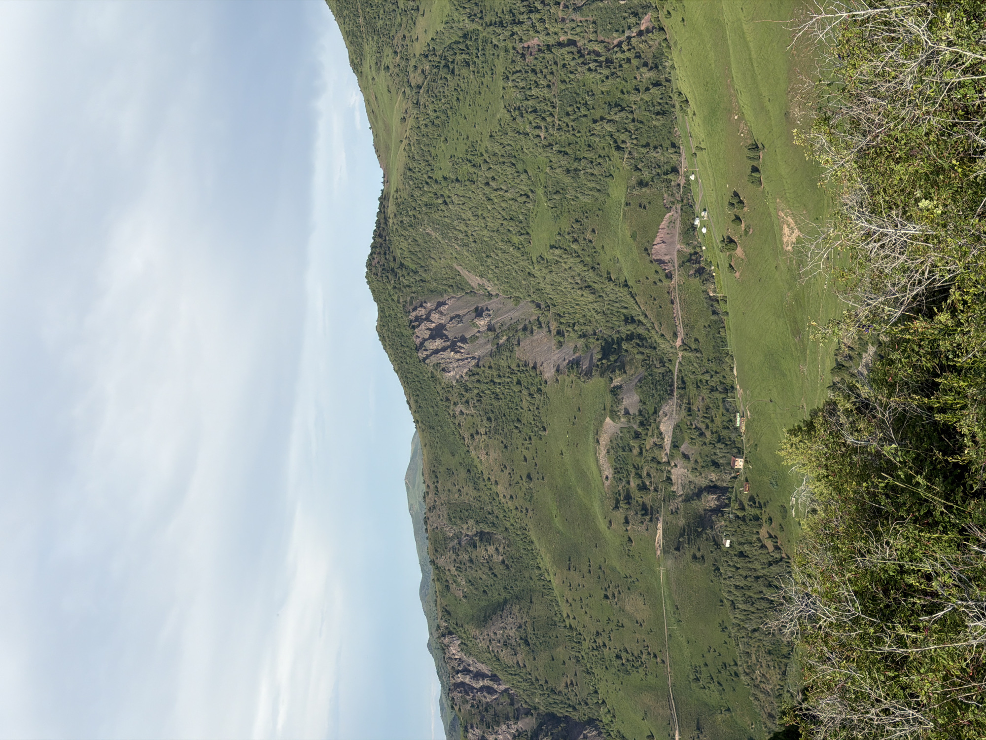 Wildflowers and green mountain slopes near Kashka Suu, Kyrgyzstan