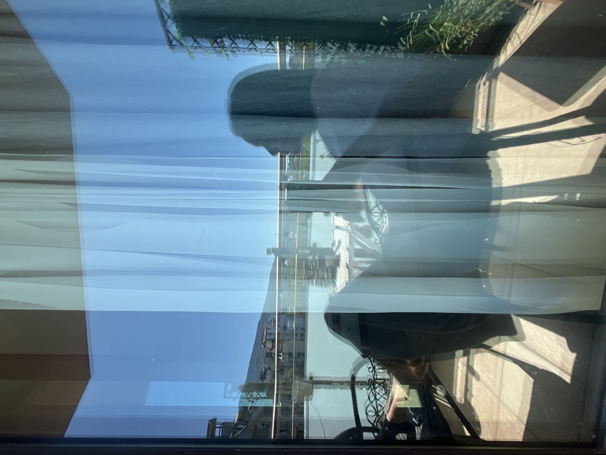 Window reflection and calm hashtag captured in Sofia
