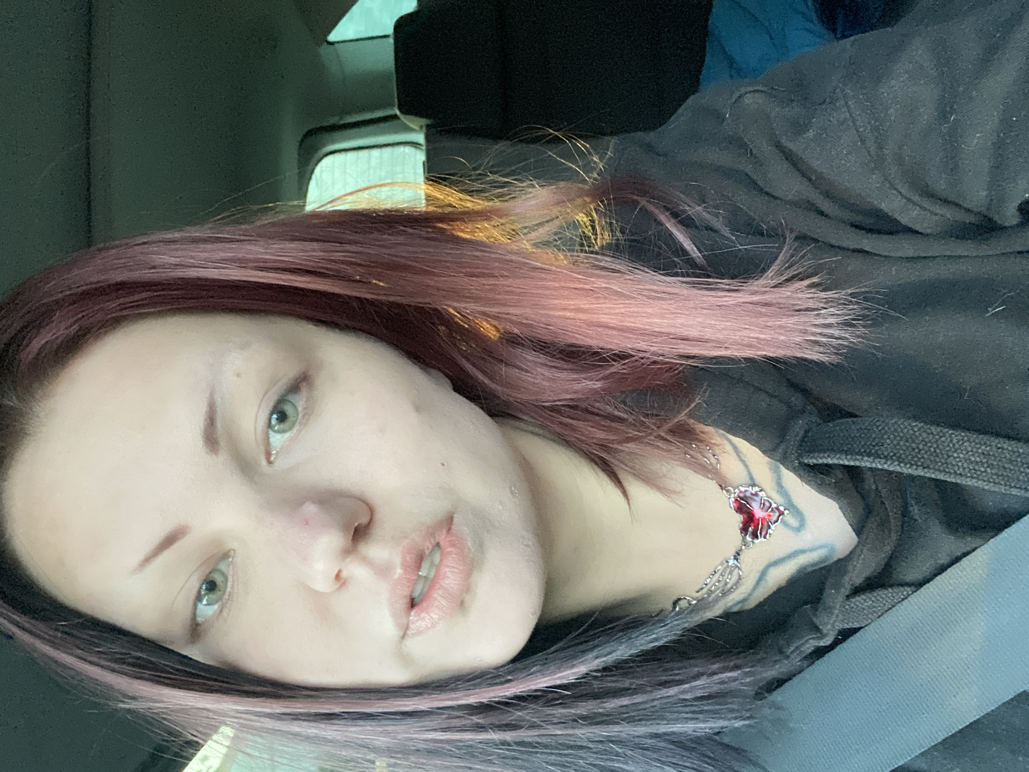 Person with distinctive hair photographed in vehicle, Kunje Montenegro