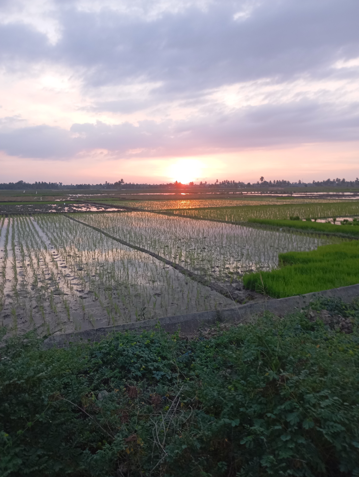 Jeumpabeureghang, Indonesia