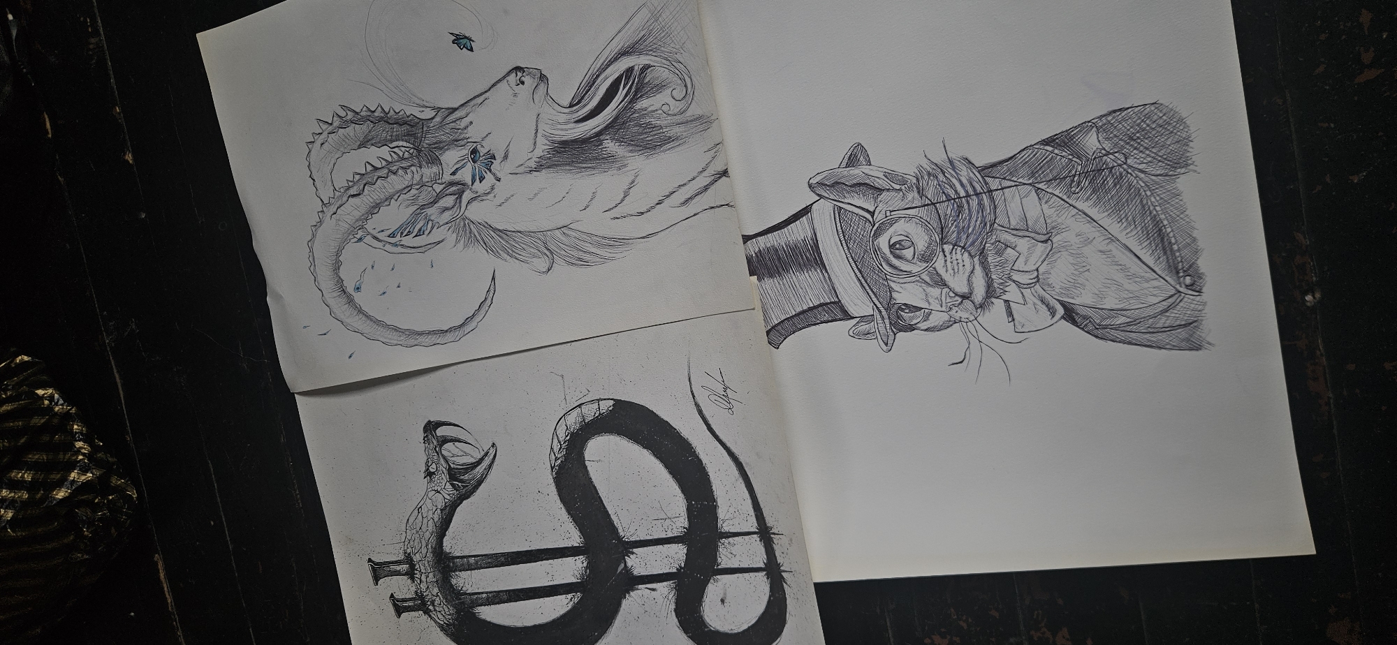 Artist creates mystical creature drawings in Bulgarian town