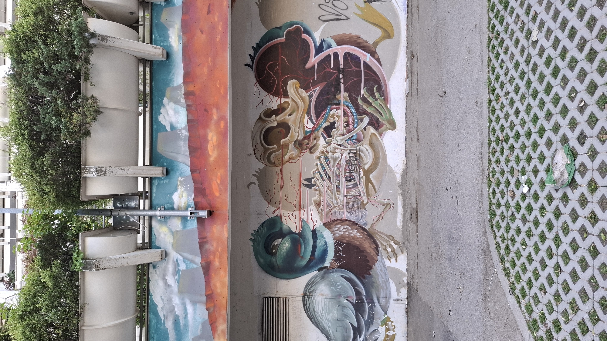 Anatomical bird mural spotted on Vienna concrete wall