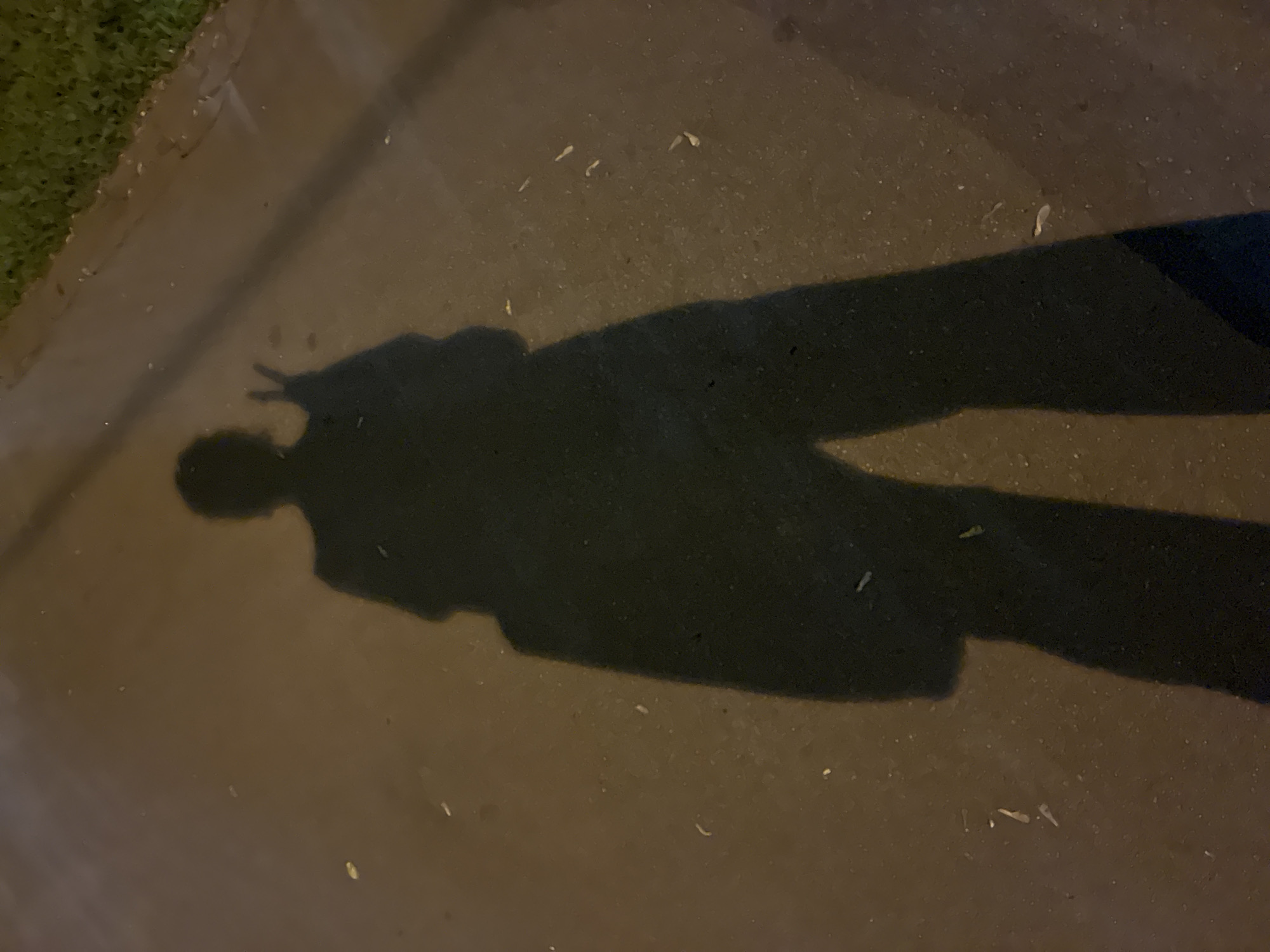 Evening street life documented in Moscow neighborhood
