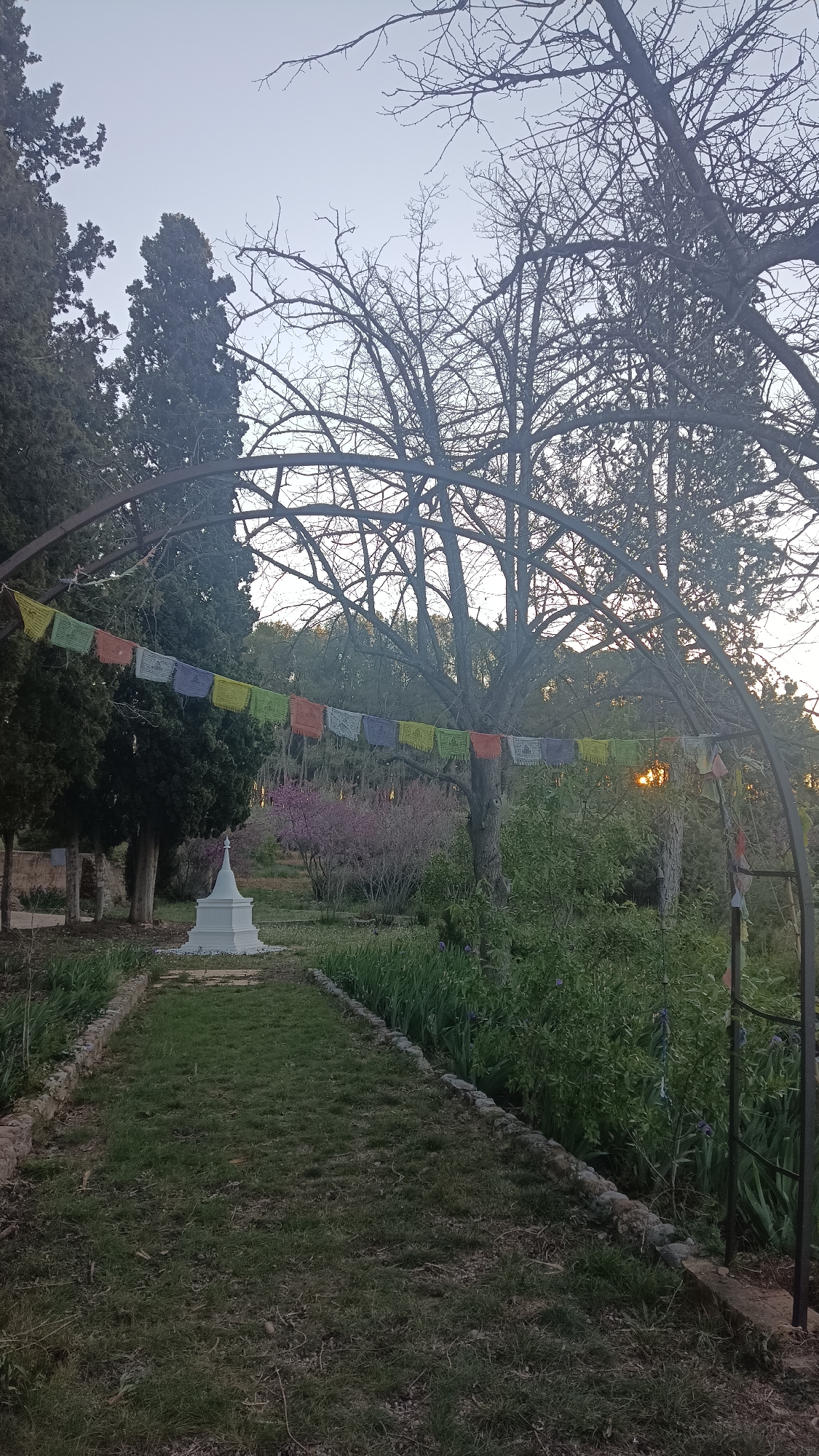 Morning scenes captured in Jérica gardens and countryside