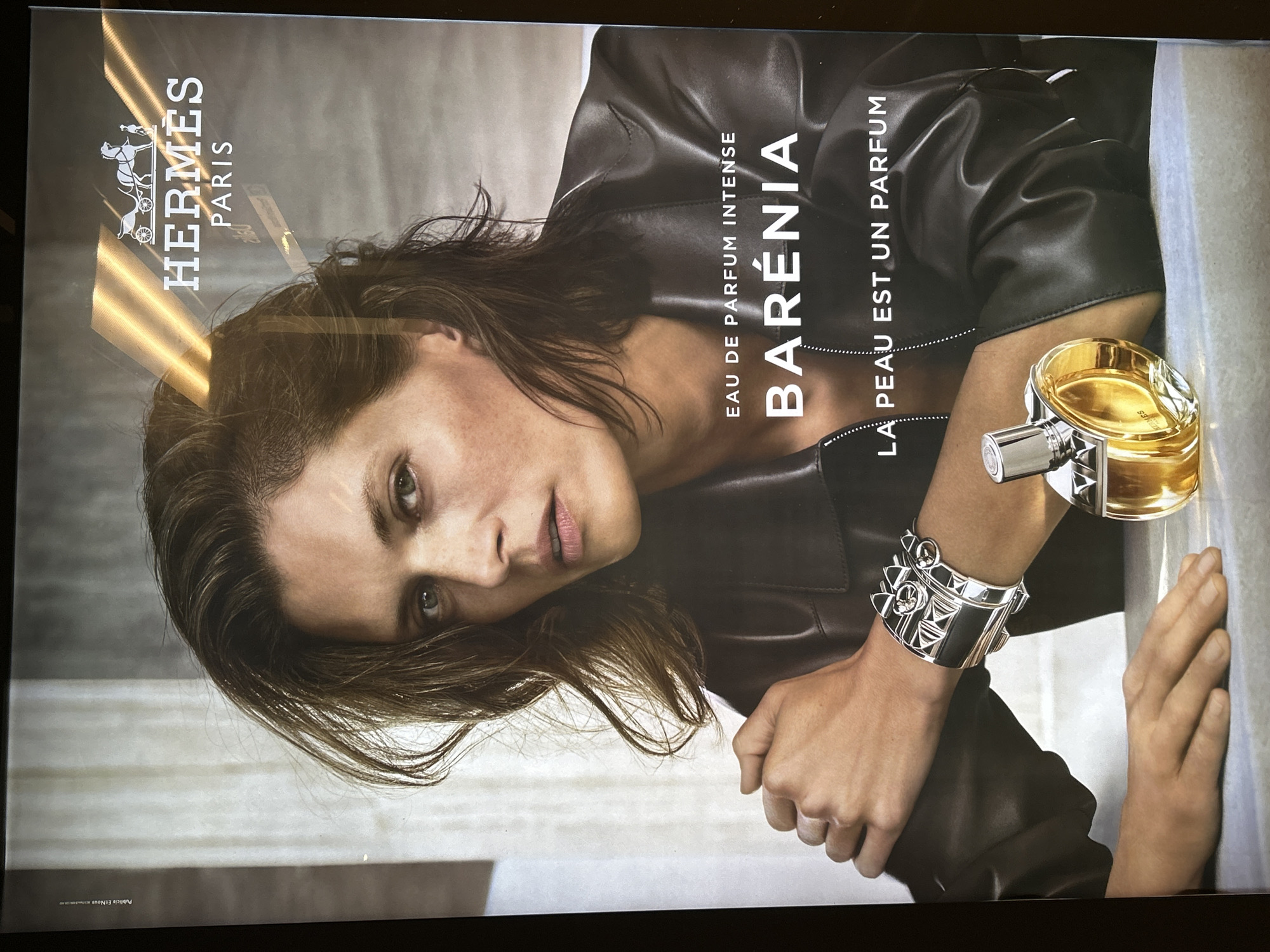 Evening observations captured around Strasbourg include ads, flora, traffic signs