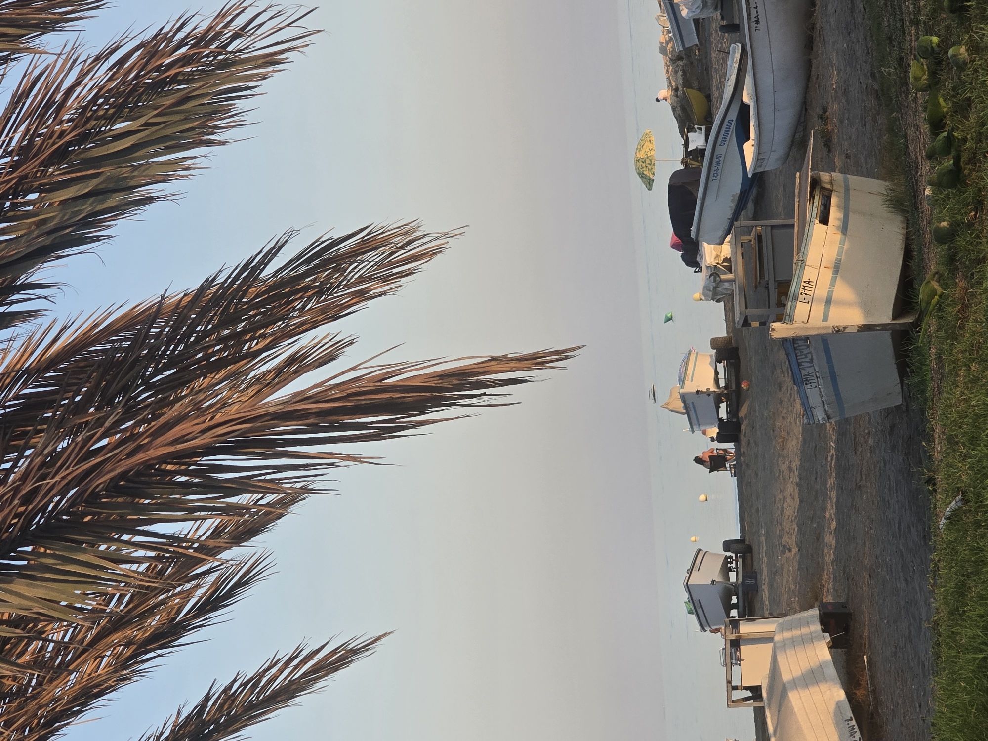 Málaga beach at golden hour: boats, parrots, and fading light