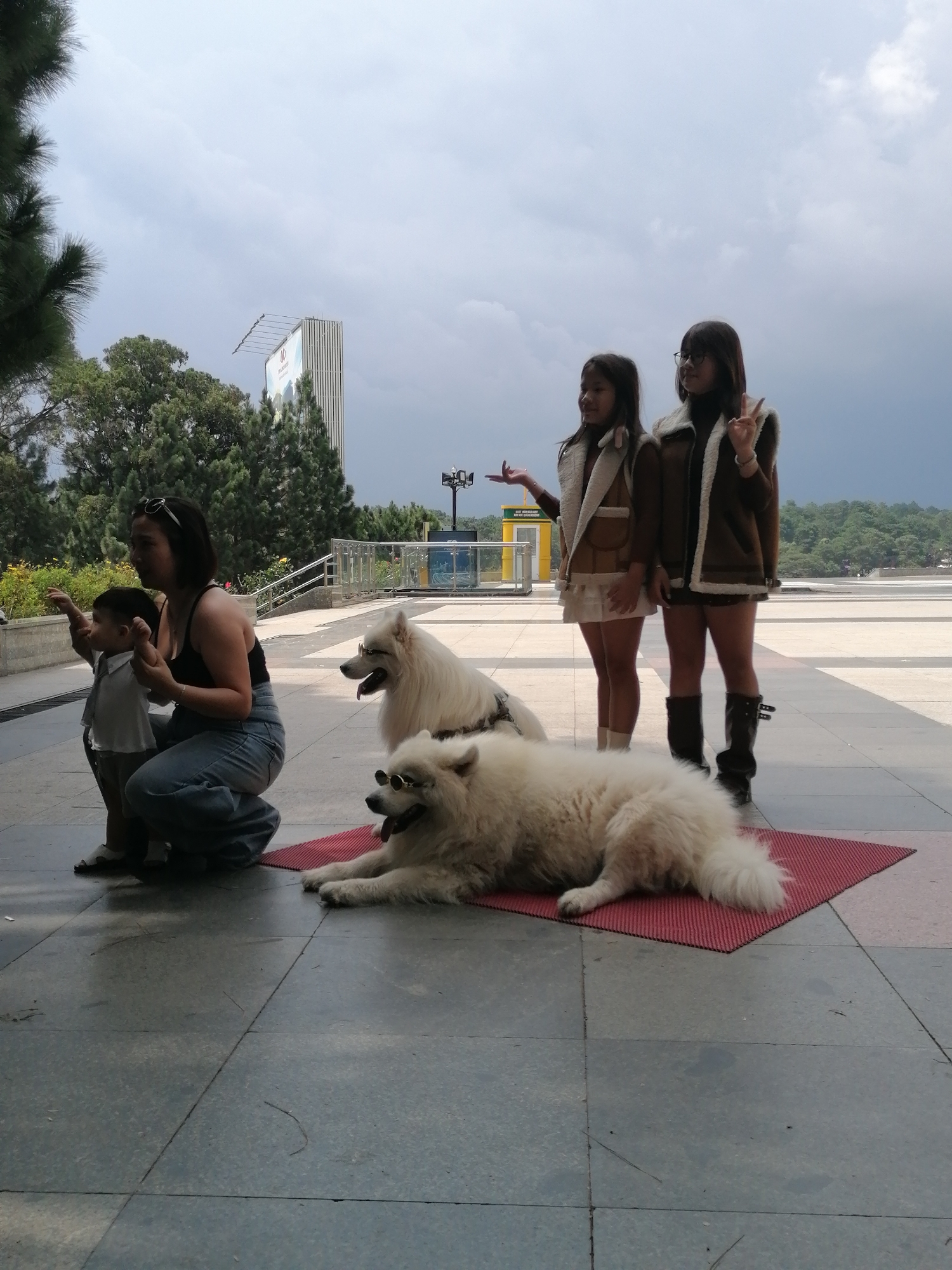 Samoyed dogs in sunglasses draw a crowd at Da Lat plaza