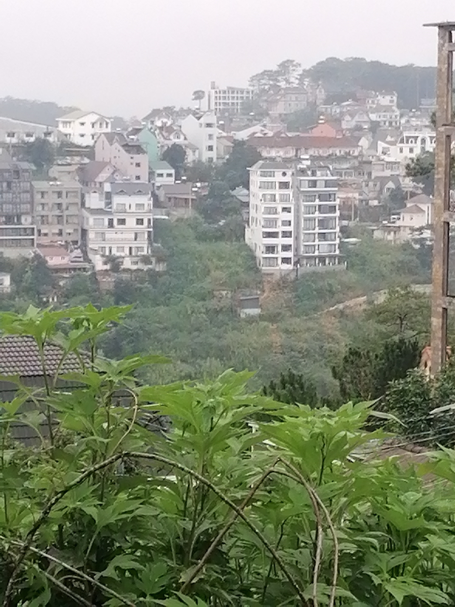 Morning photography walk captures Da Lat's misty residential landscapes