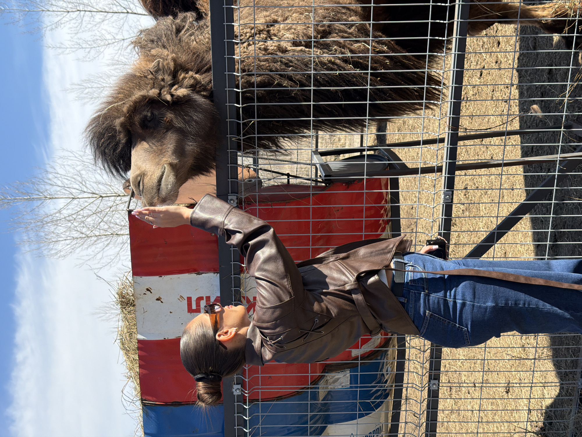 Woman visits camel at Russian animal enclosure