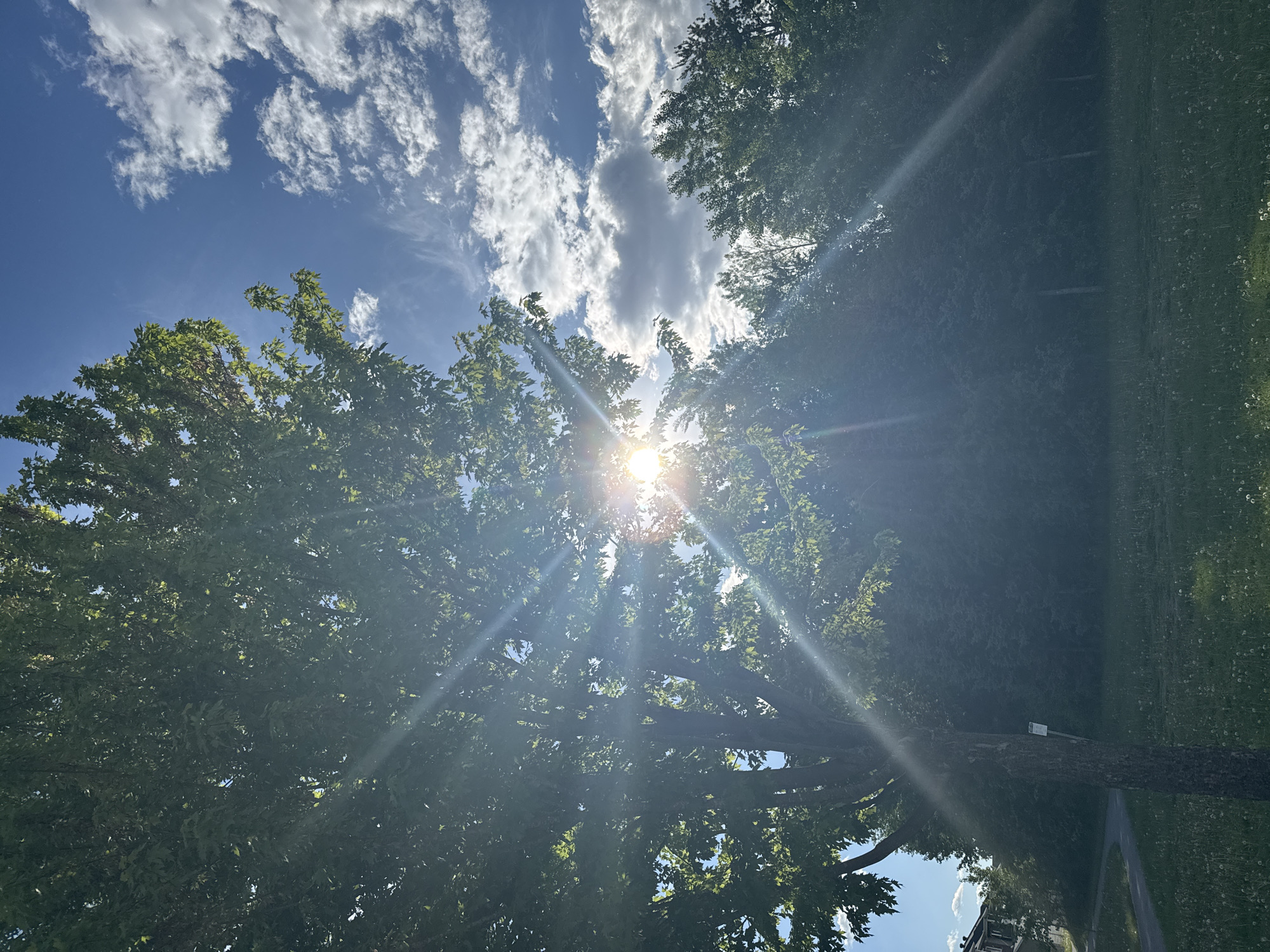 Evening park visit documented in sunny Gatineau green space