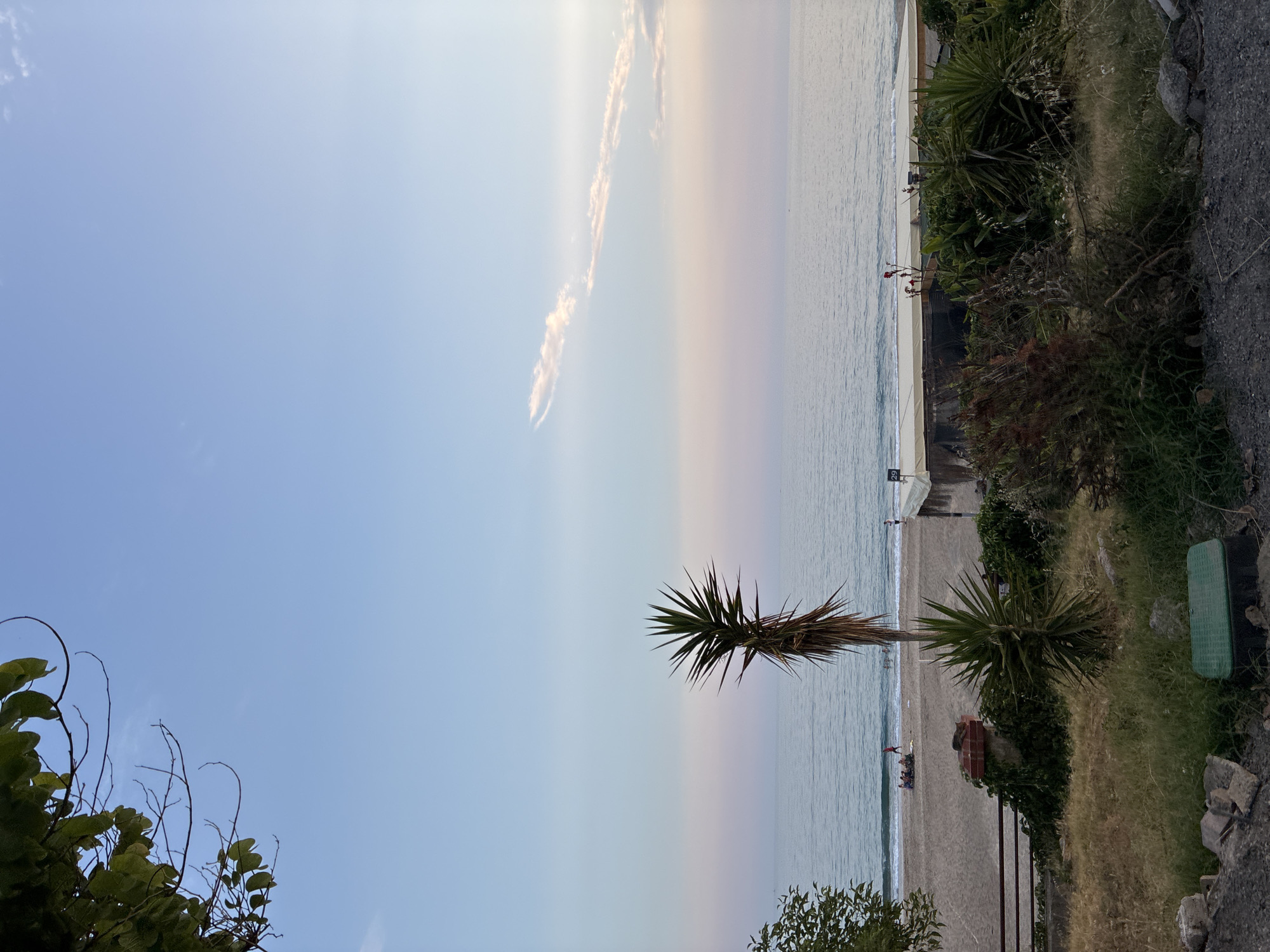Golden hour along Alanya's palm-lined seafront