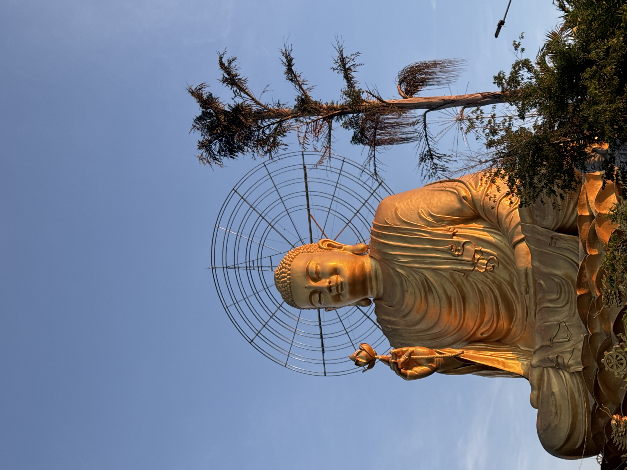 Temple visit documented in Đà Lạt, Vietnam features Buddha statues