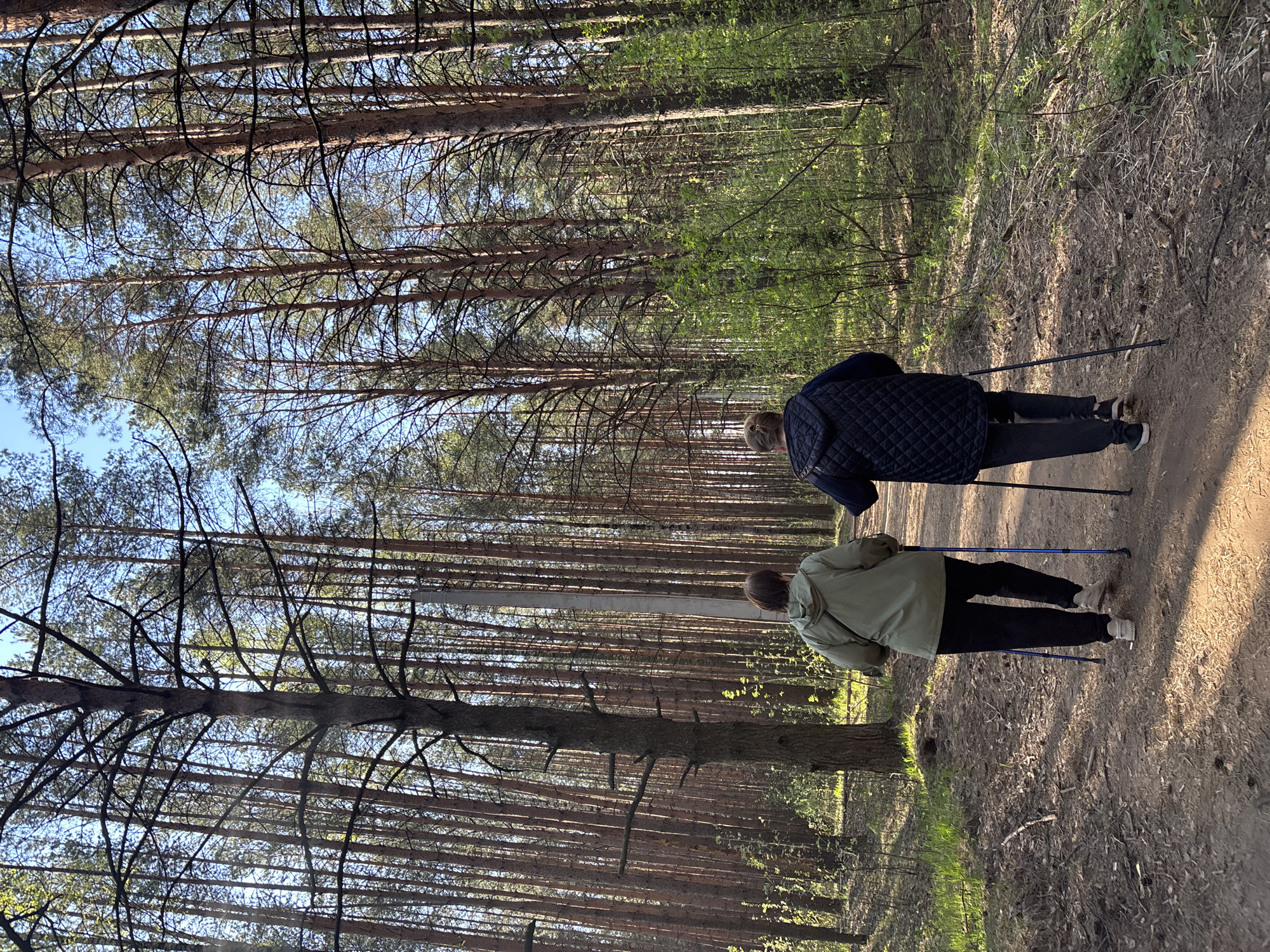 Early morning outdoor activities documented in Chaikovsky forest areas