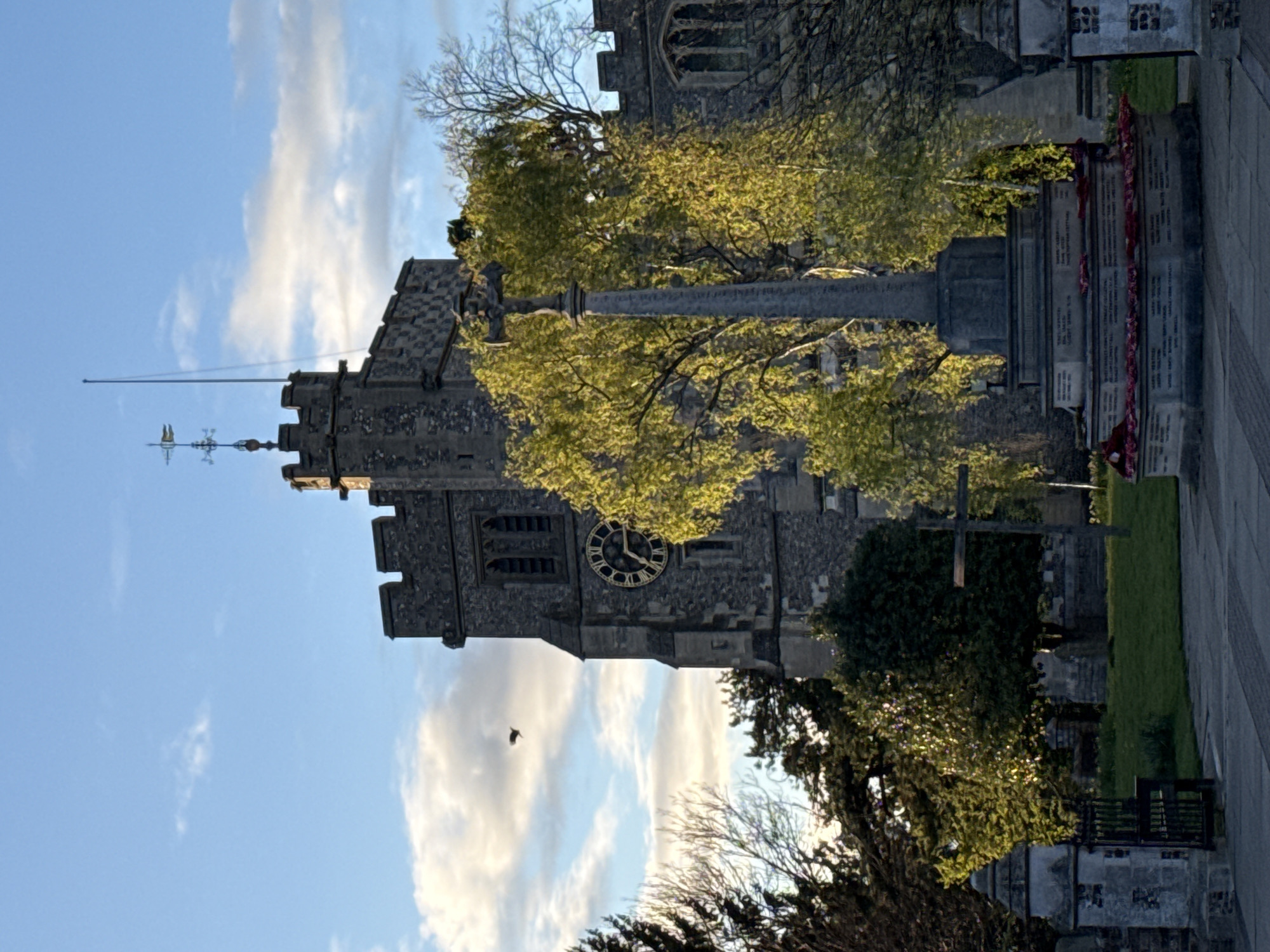 Everyday scenes documented in Dacorum during spring afternoon