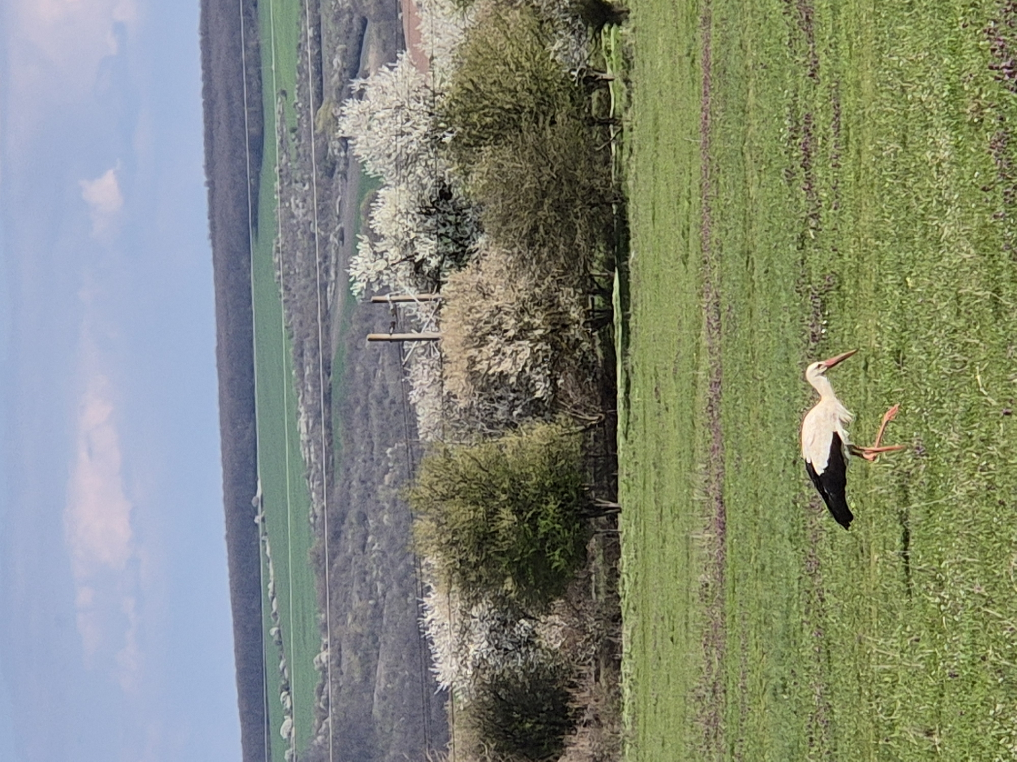 Spring countryside scenes documented in Bulgarian village Медовина