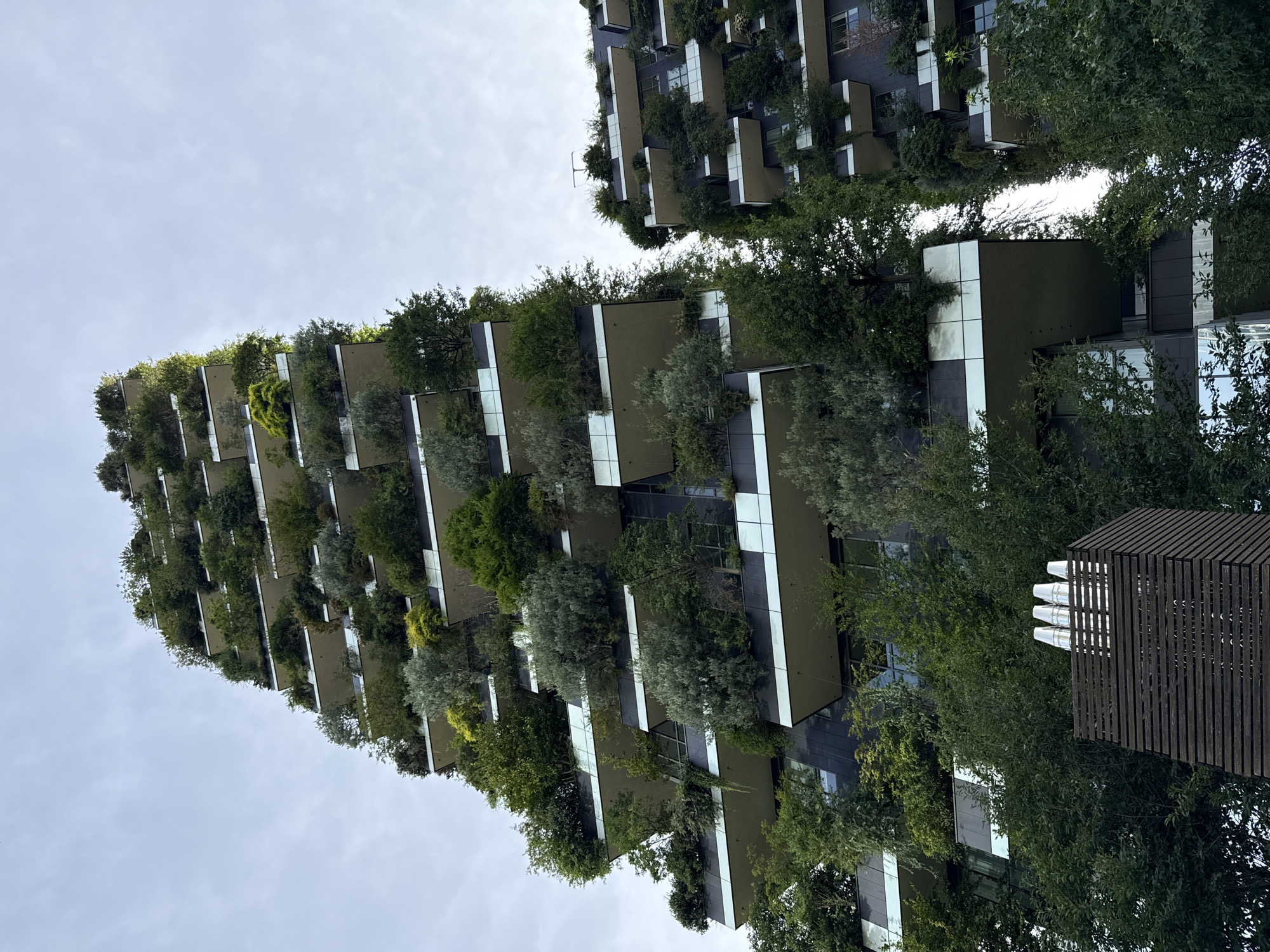 Afternoon in Milan's Porta Nuova: vertical forests, parks, and skyline