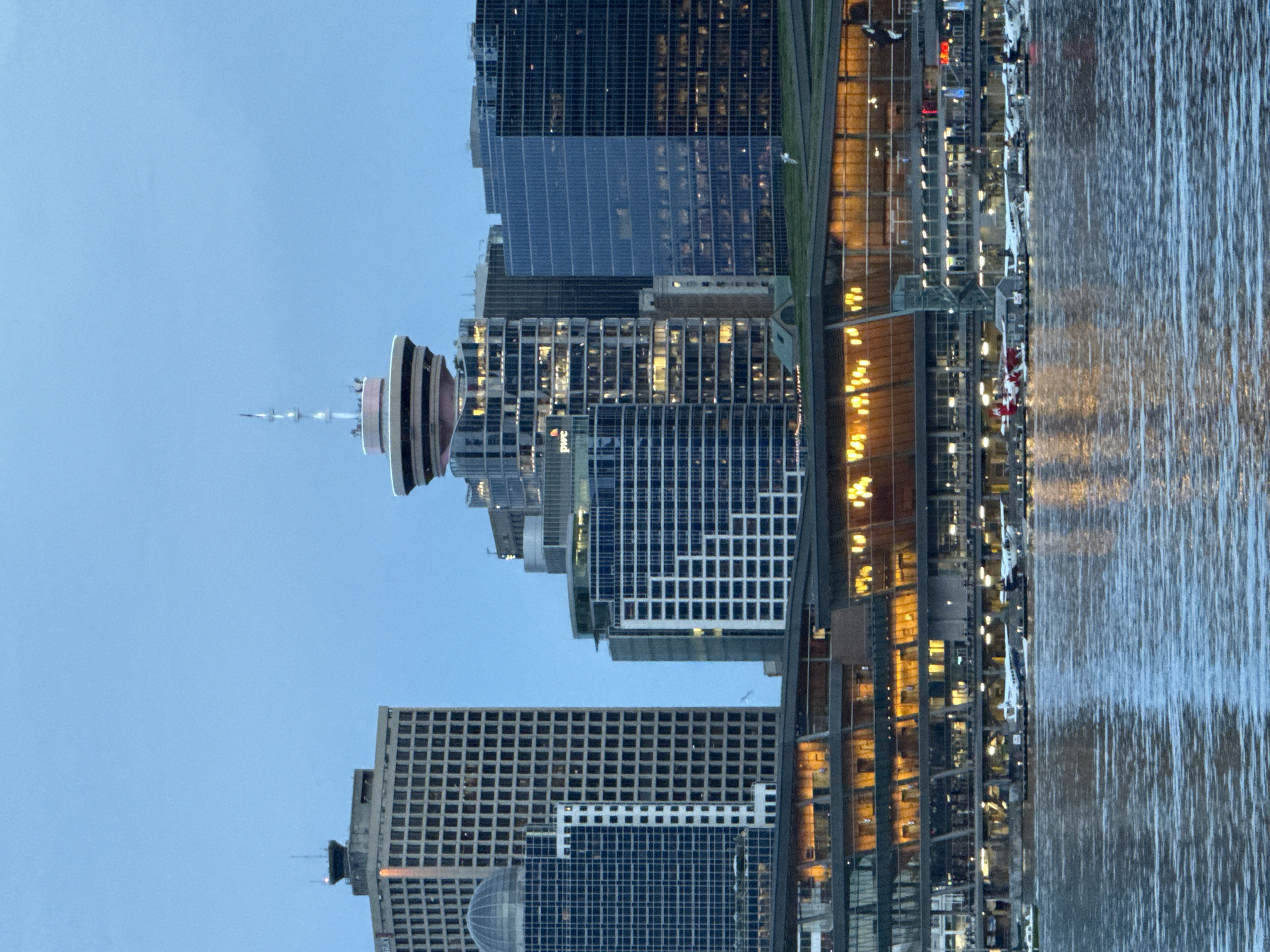 Downtown Vancouver waterfront and wildlife observed during morning hours