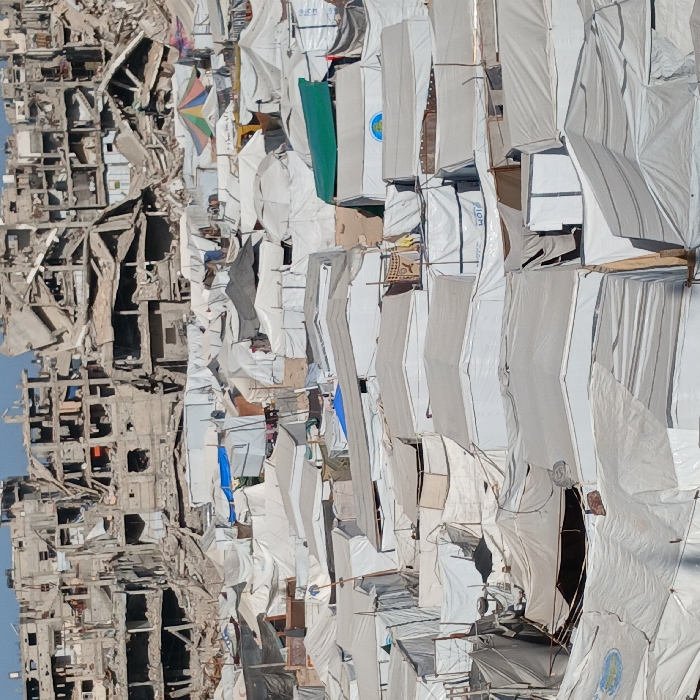 Gaza displacement camps documented amid widespread urban destruction