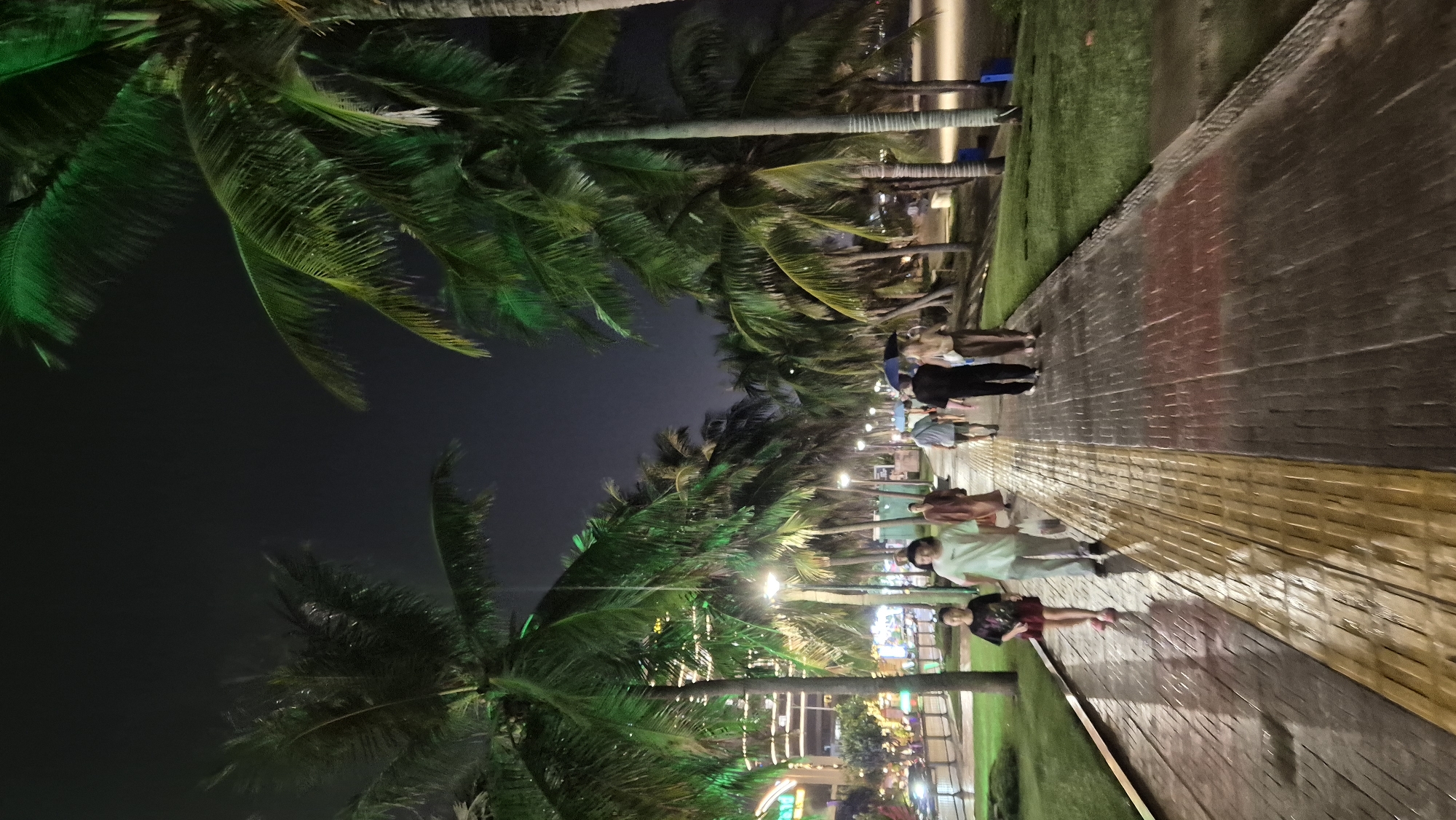 Rainy night stroll along Đà Nẵng's palm-lit waterfront promenade
