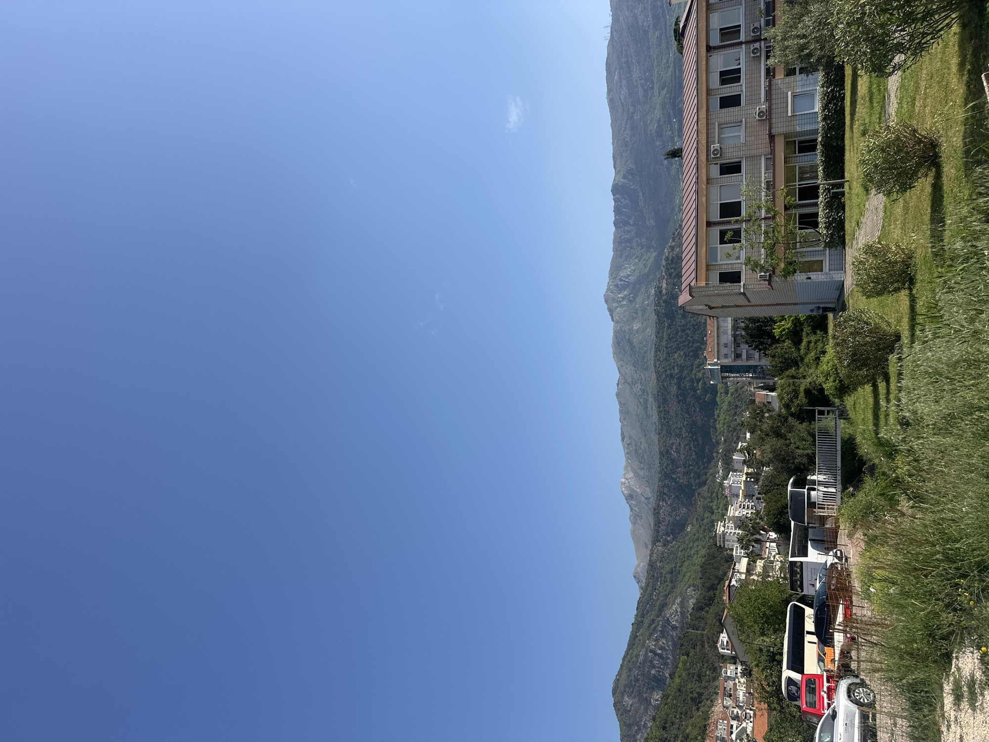 Morning moments captured across Budva: coffee, cats, clear skies
