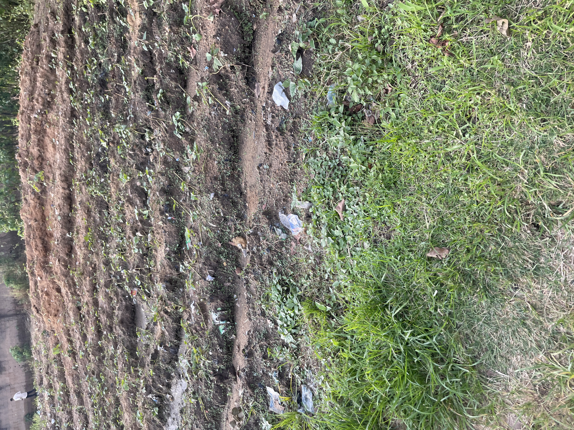 Community life and infrastructure in Rafin Par, Nigeria