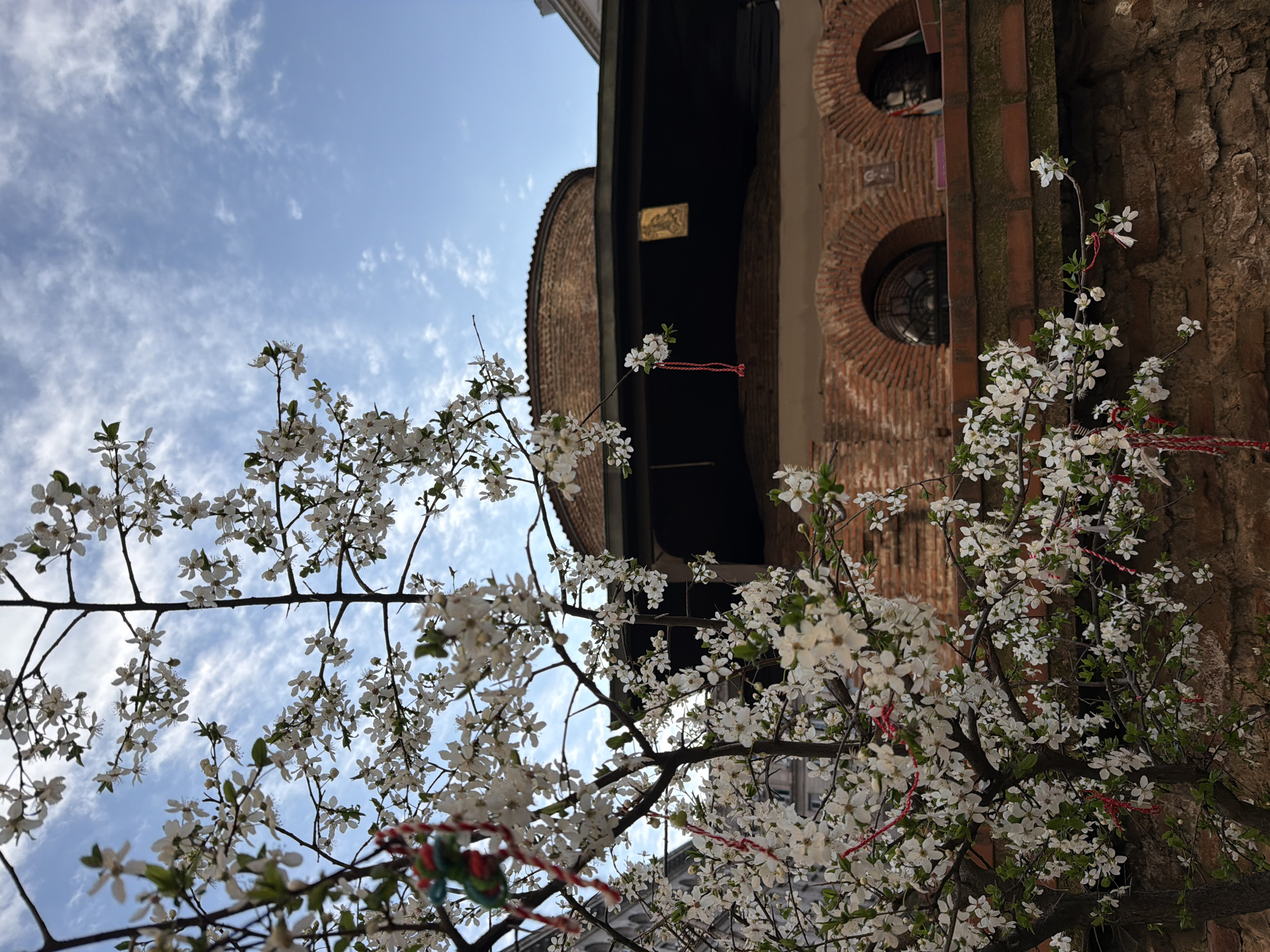 Morning documentation of Sofia landmarks and spring blooms