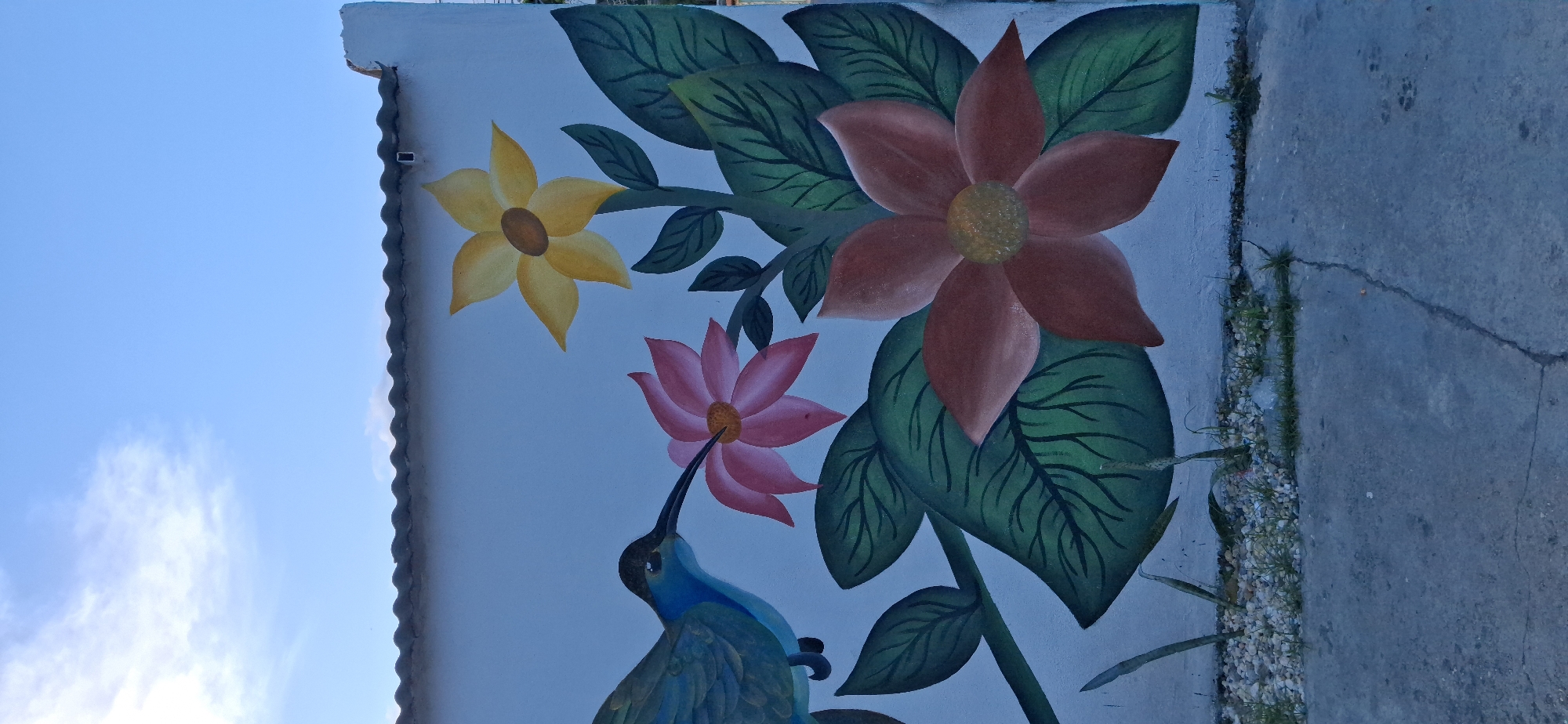 Colorful murals and green spaces documented in Tinaquillo, Venezuela