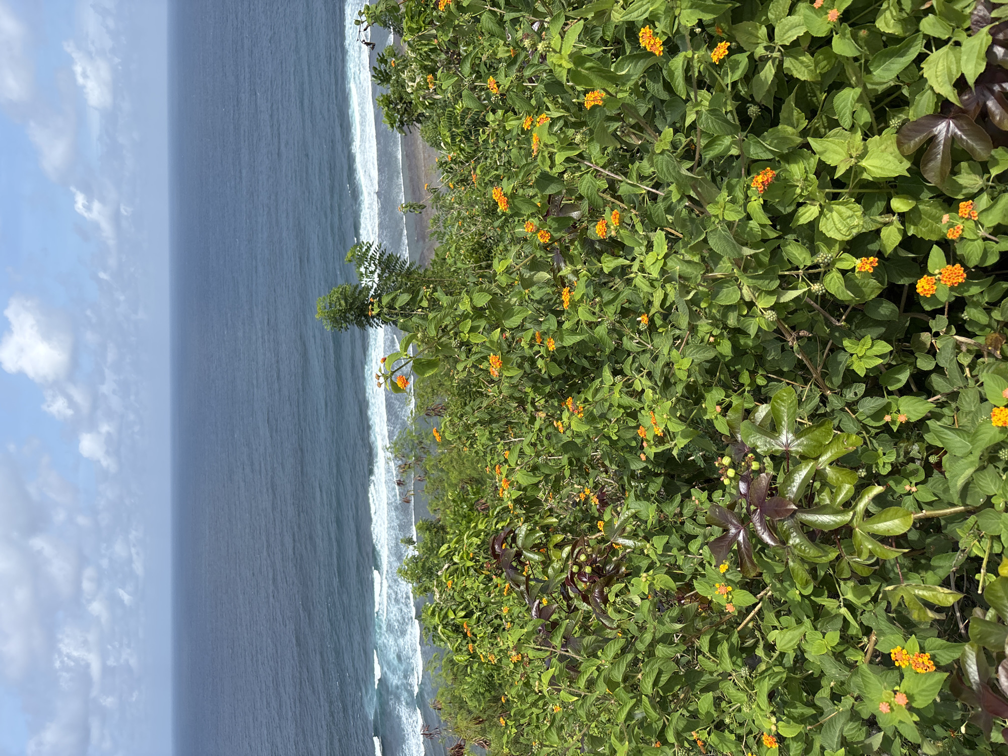 Tourist documents cliffside ocean views in Kuta Selatan Indonesia