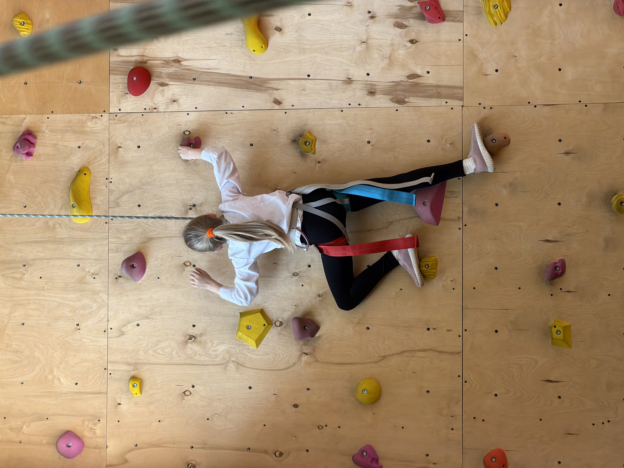 Children rock climbing at indoor facility in Izhevsk