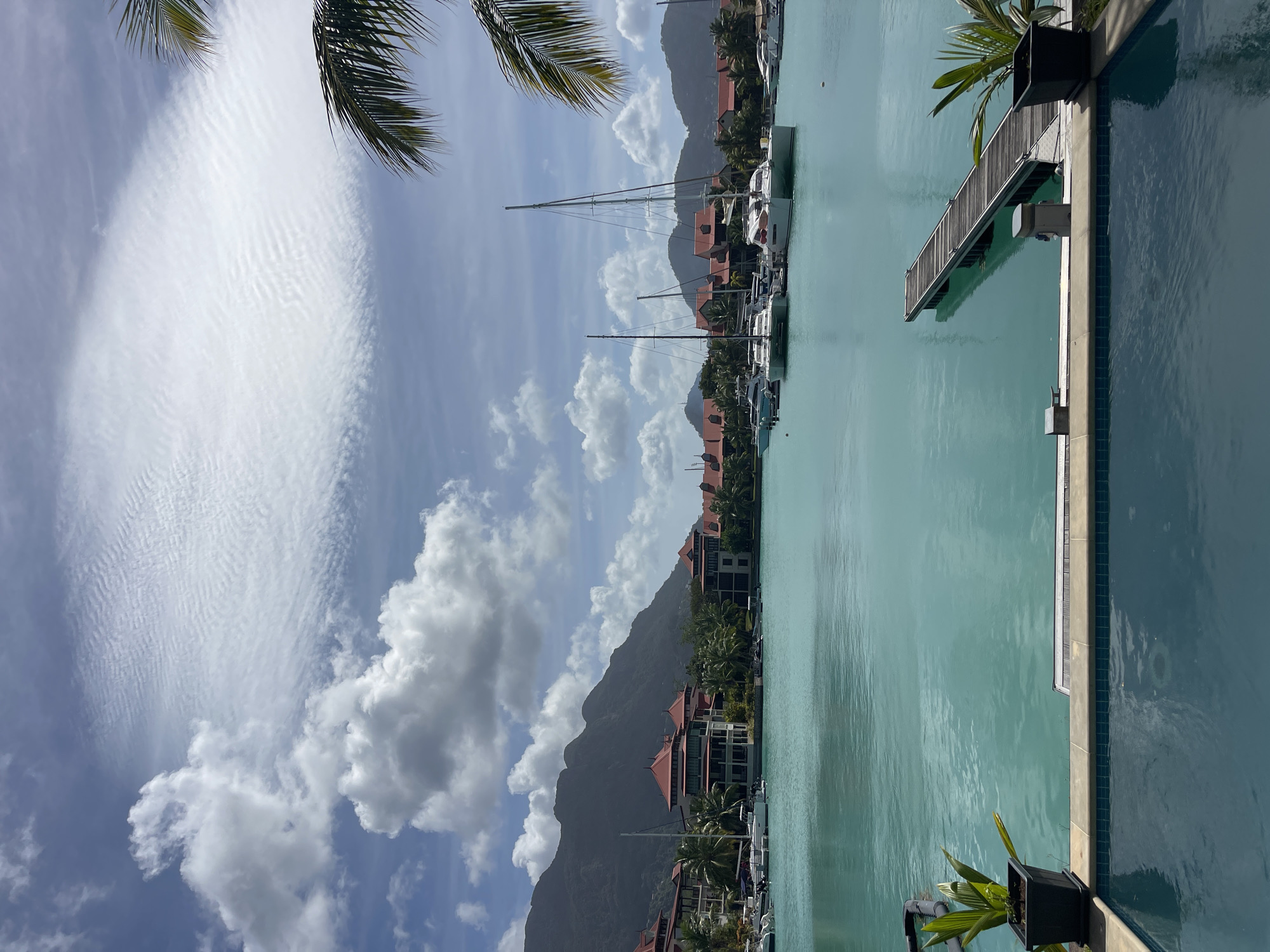 Quiet marina morning in Providence, Seychelles