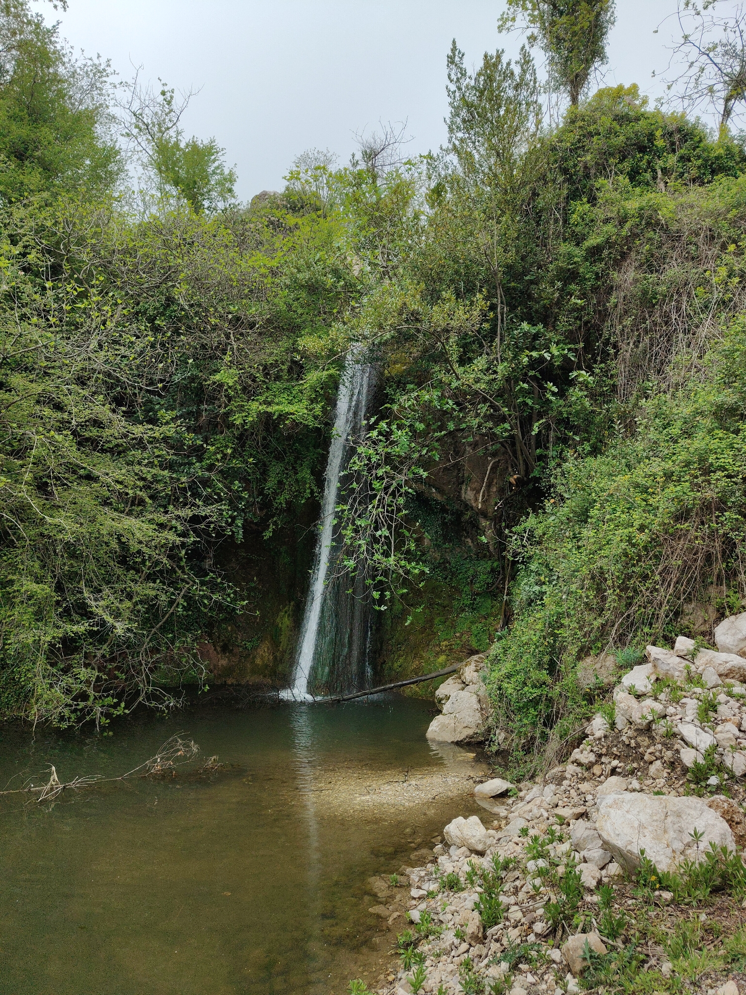 Natural waterfall documented in Montenegro forest landscape