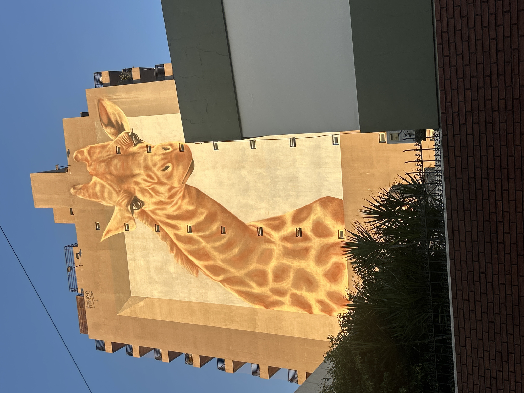 Large giraffe mural spotted on Buenos Aires building exterior
