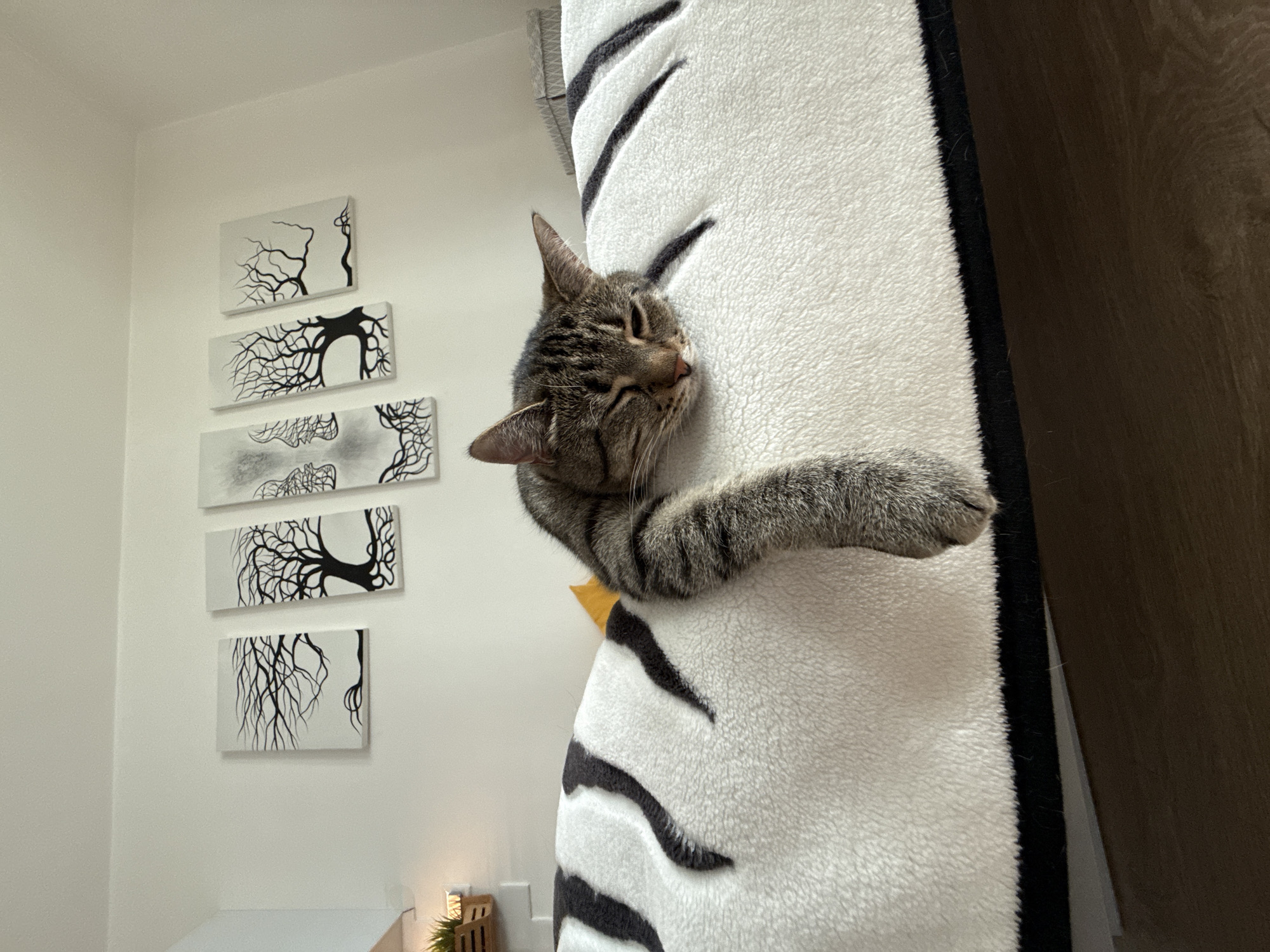 Tabby cat deep in a nap on a white cushion