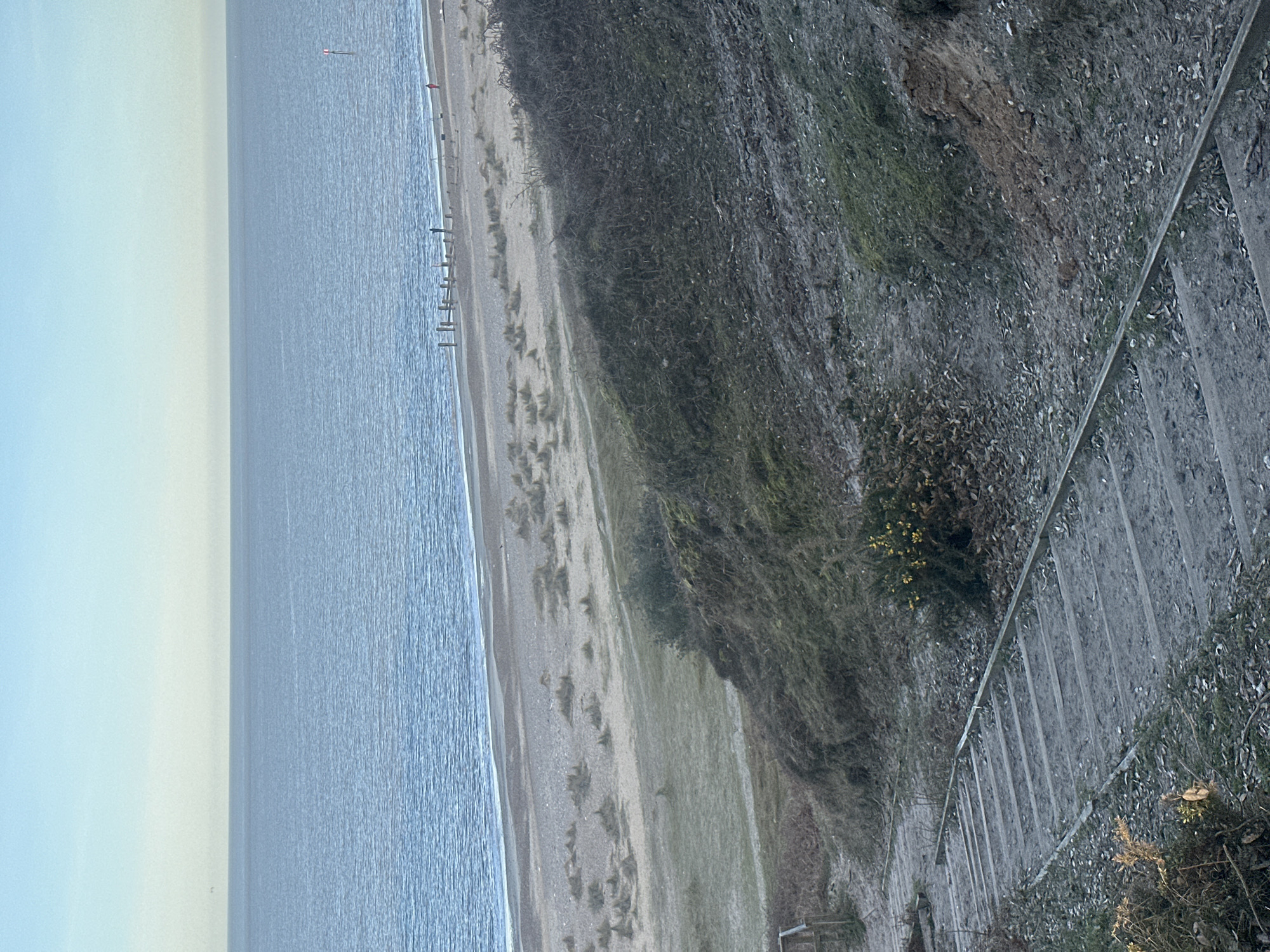 Coastal walk documented in East Suffolk during spring evening