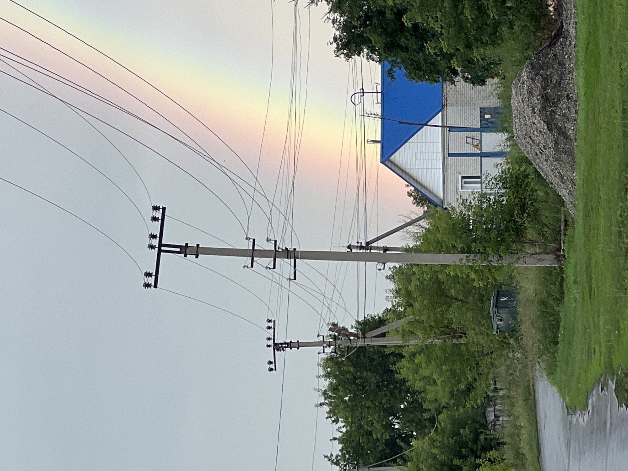 Rainbow and rain-soaked roses in rural Pivkino, Russia