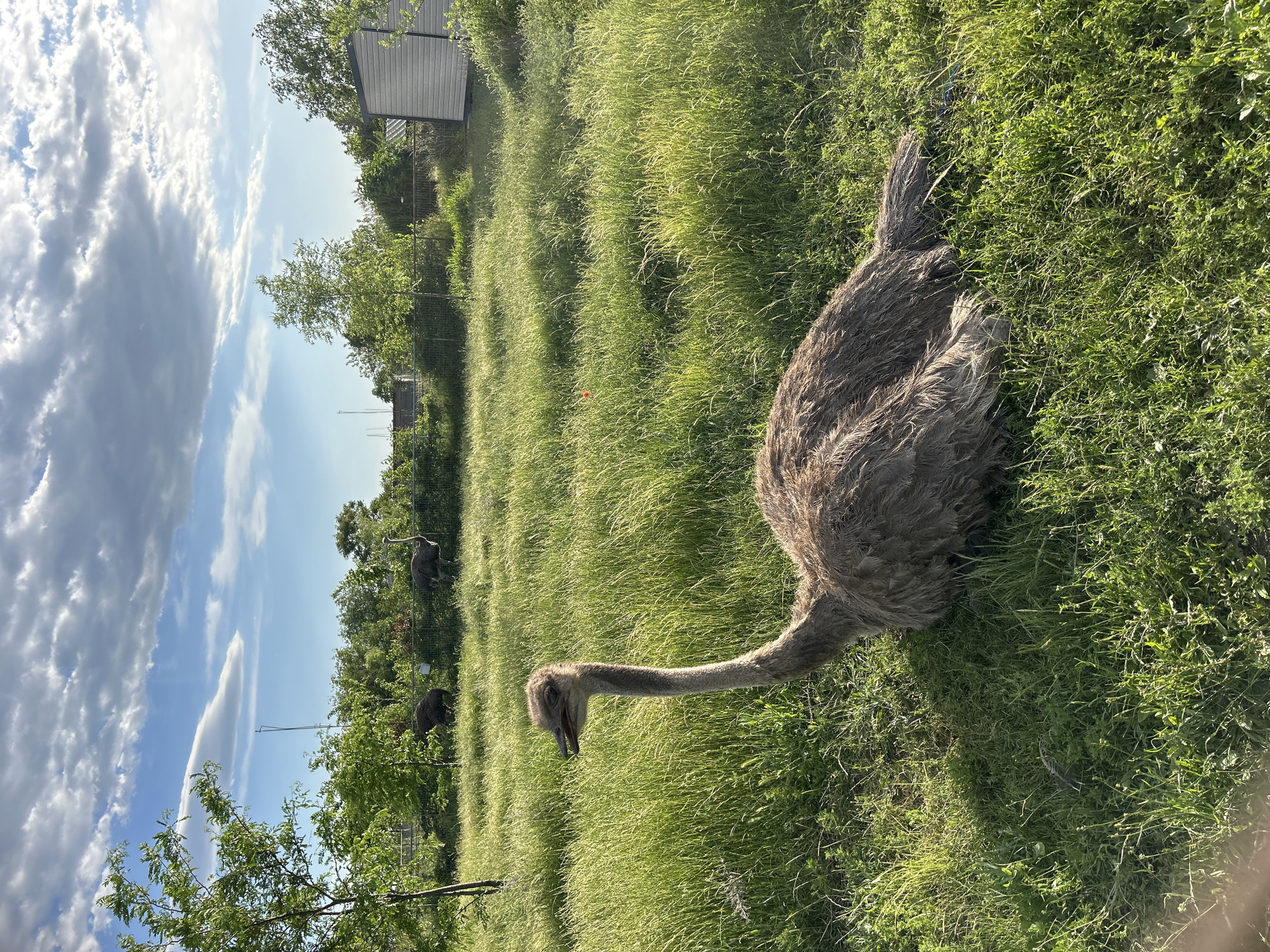 Zoo visitors document animal displays at Burgas facility