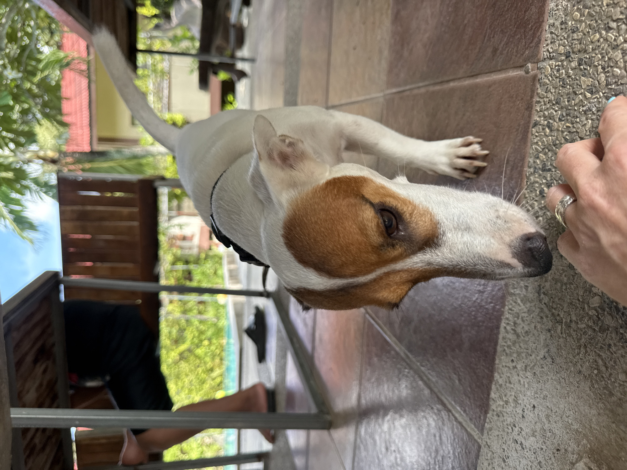 Lazy morning brunch at Gio Pastry and Coffee, Baan Bo Phut