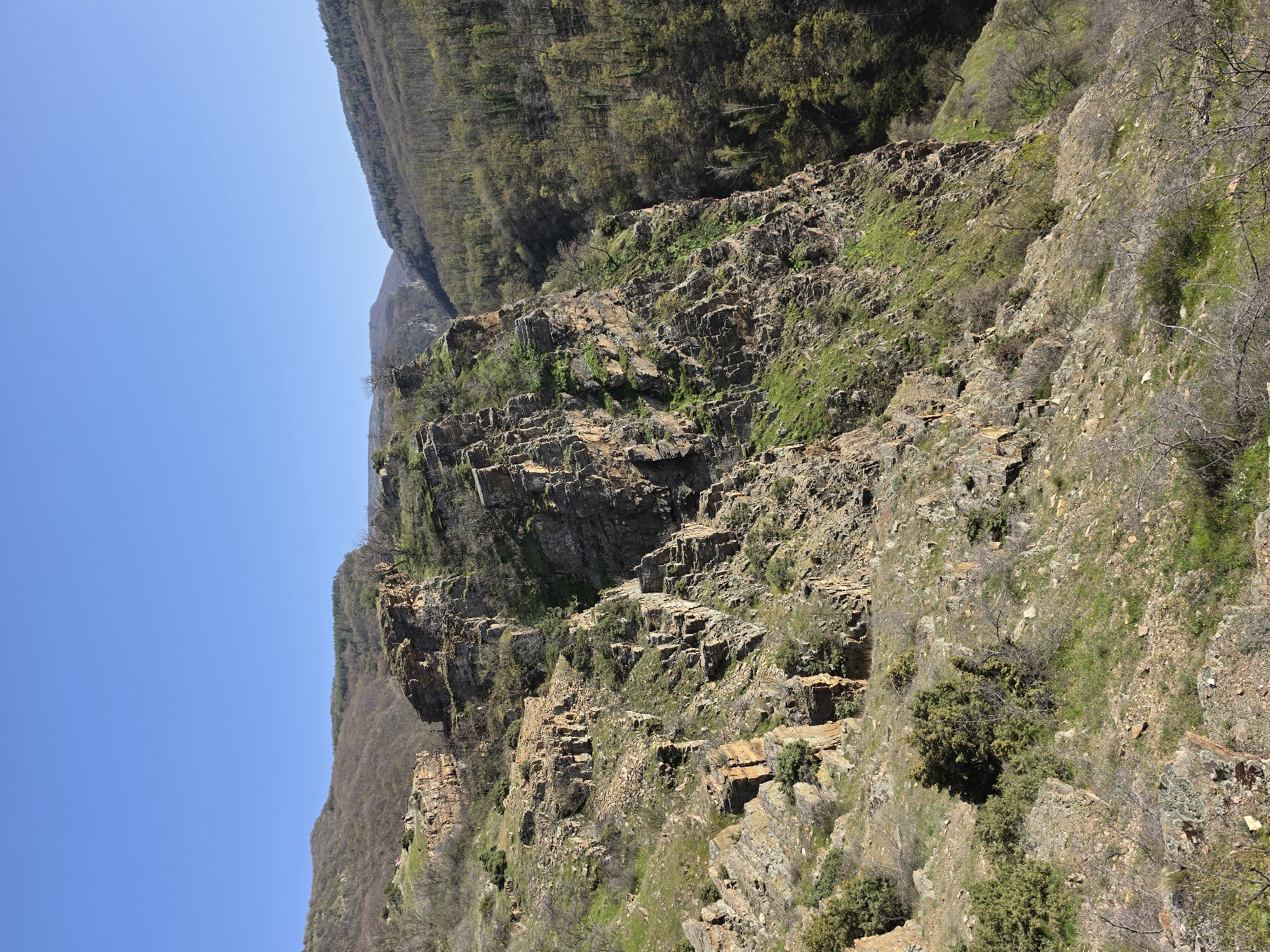 Mountain scenery and wildlife observed in Hrabrino, Bulgaria
