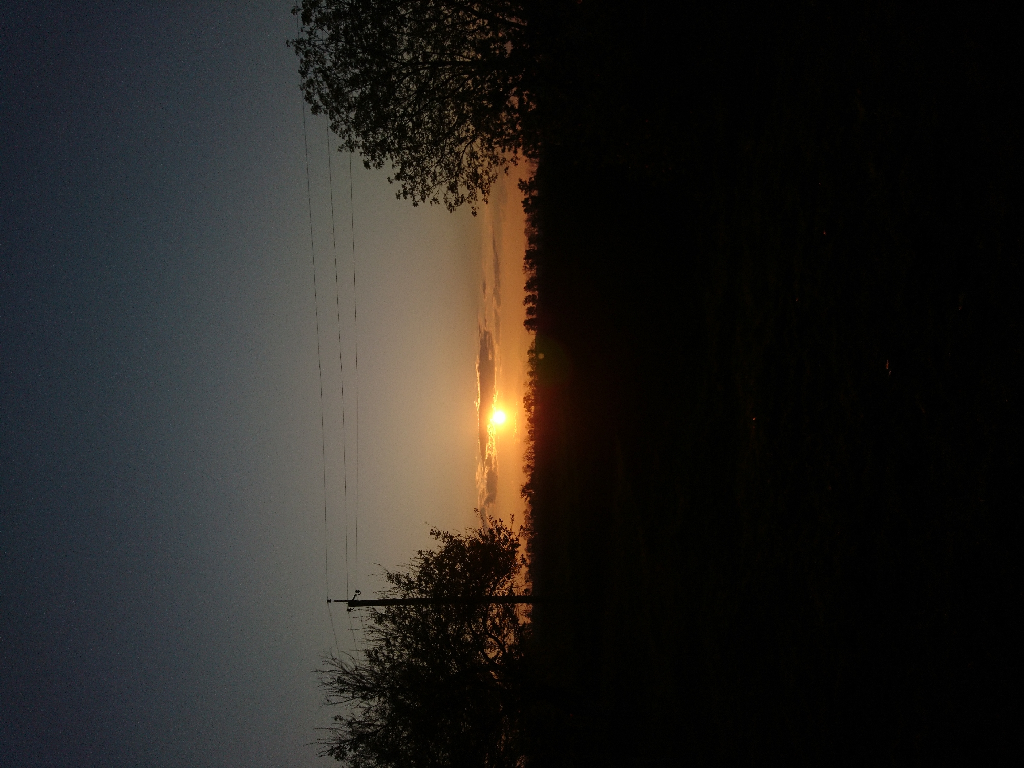 Witness captures ordinary roadside moments during ten-minute evening walk