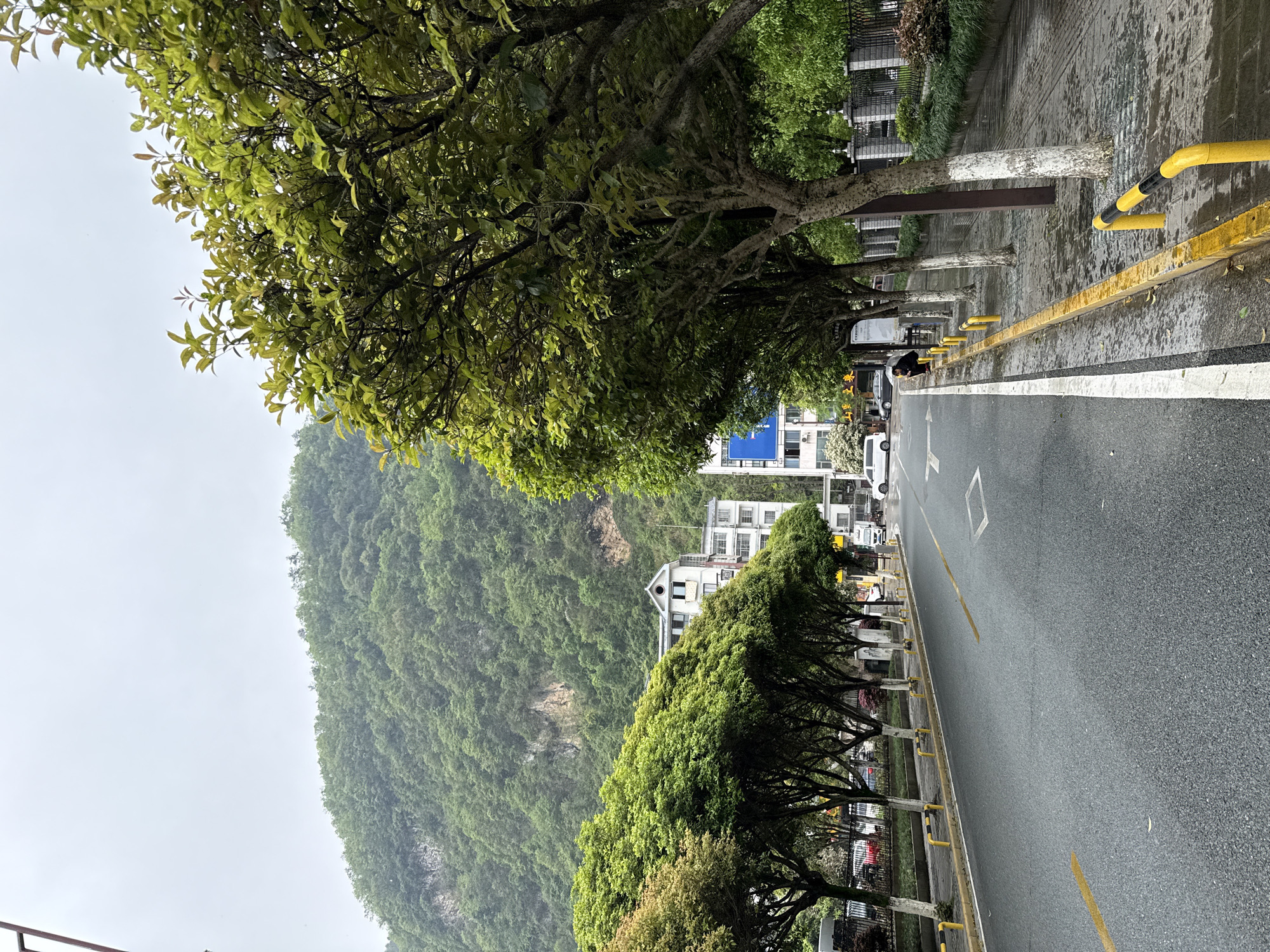 Morning street scenes captured amid misty mountains in Wulingyuan