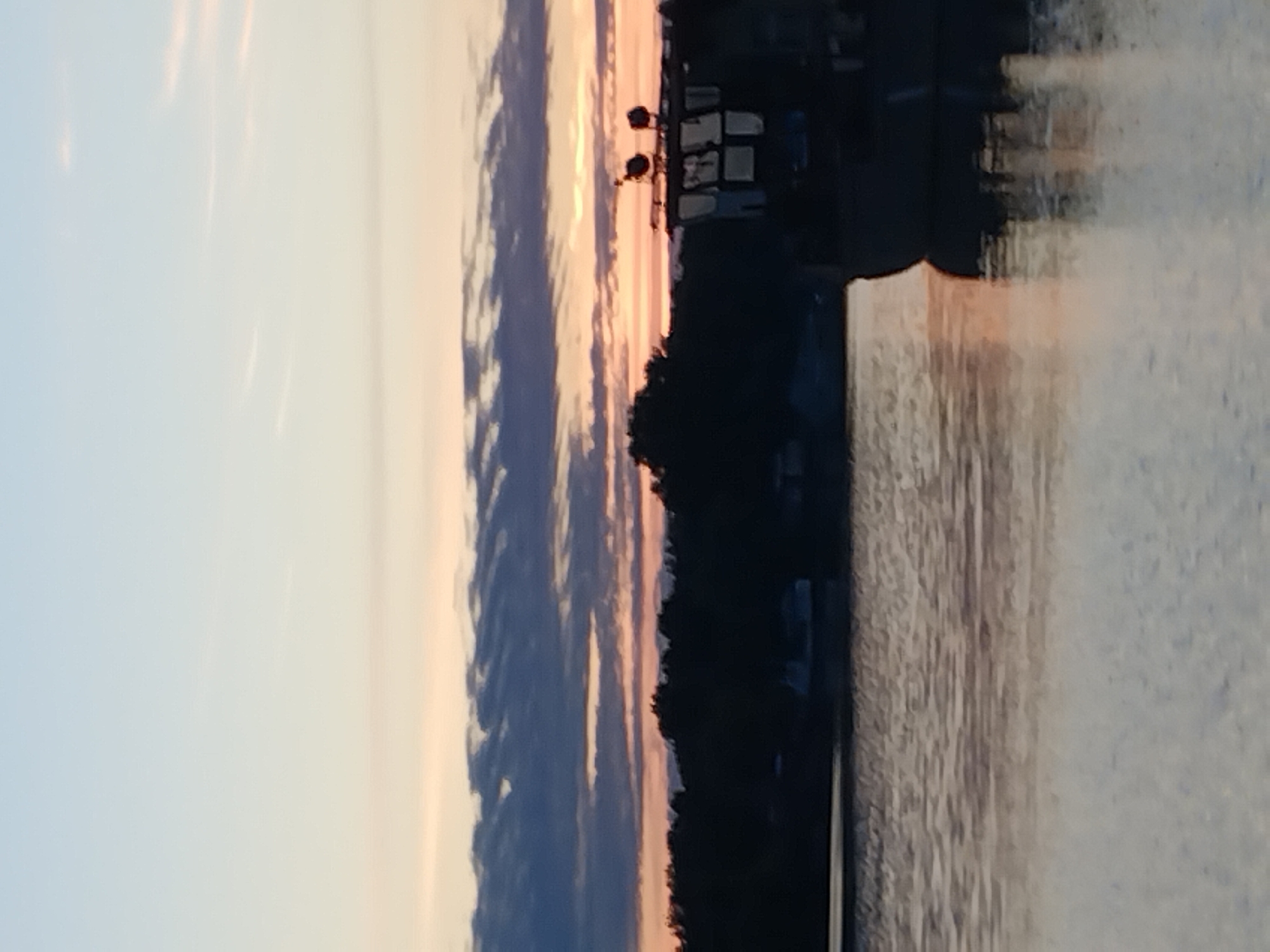 Labrador rests by the Dnieper at golden hour in Kyiv