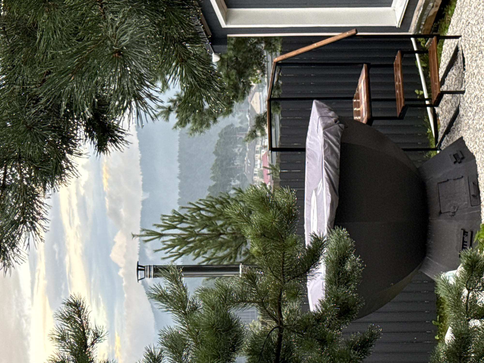 Rain-soaked pine branches frame a balcony view in Kusa
