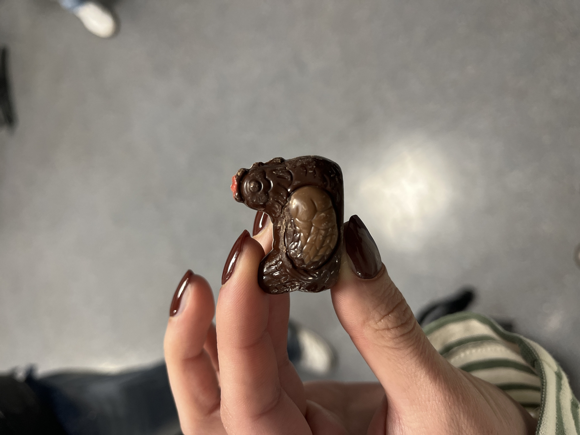 Person enjoys turtle-shaped chocolate confection in Lyon