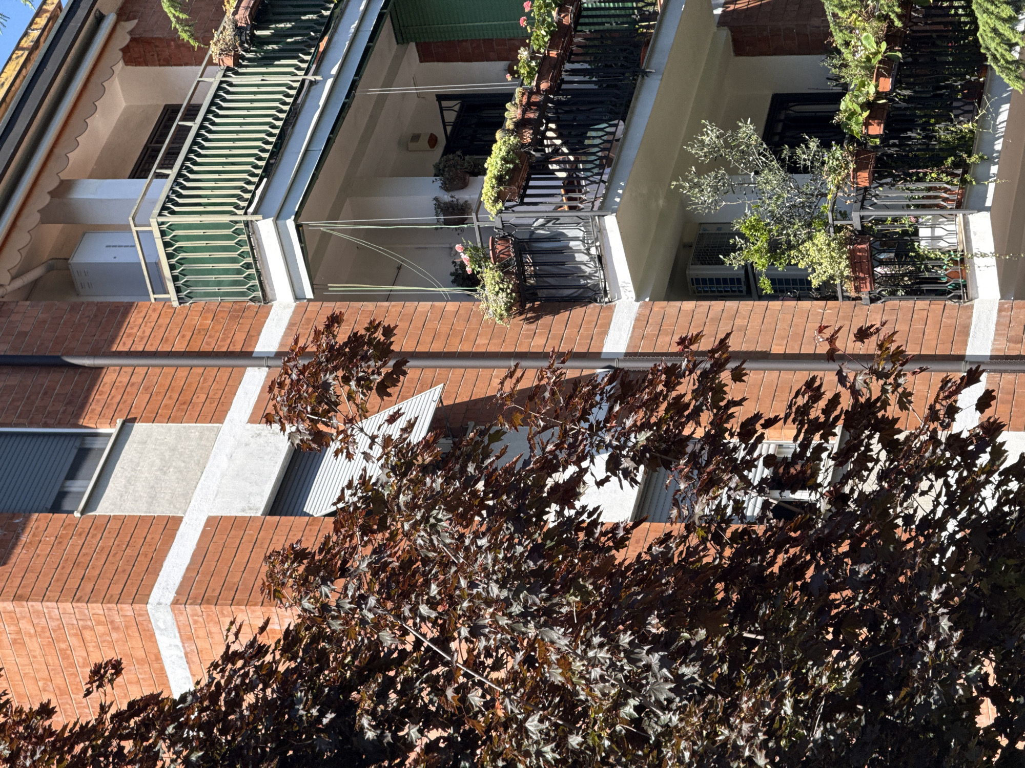 Quiet afternoon moments captured across Milan neighborhoods
