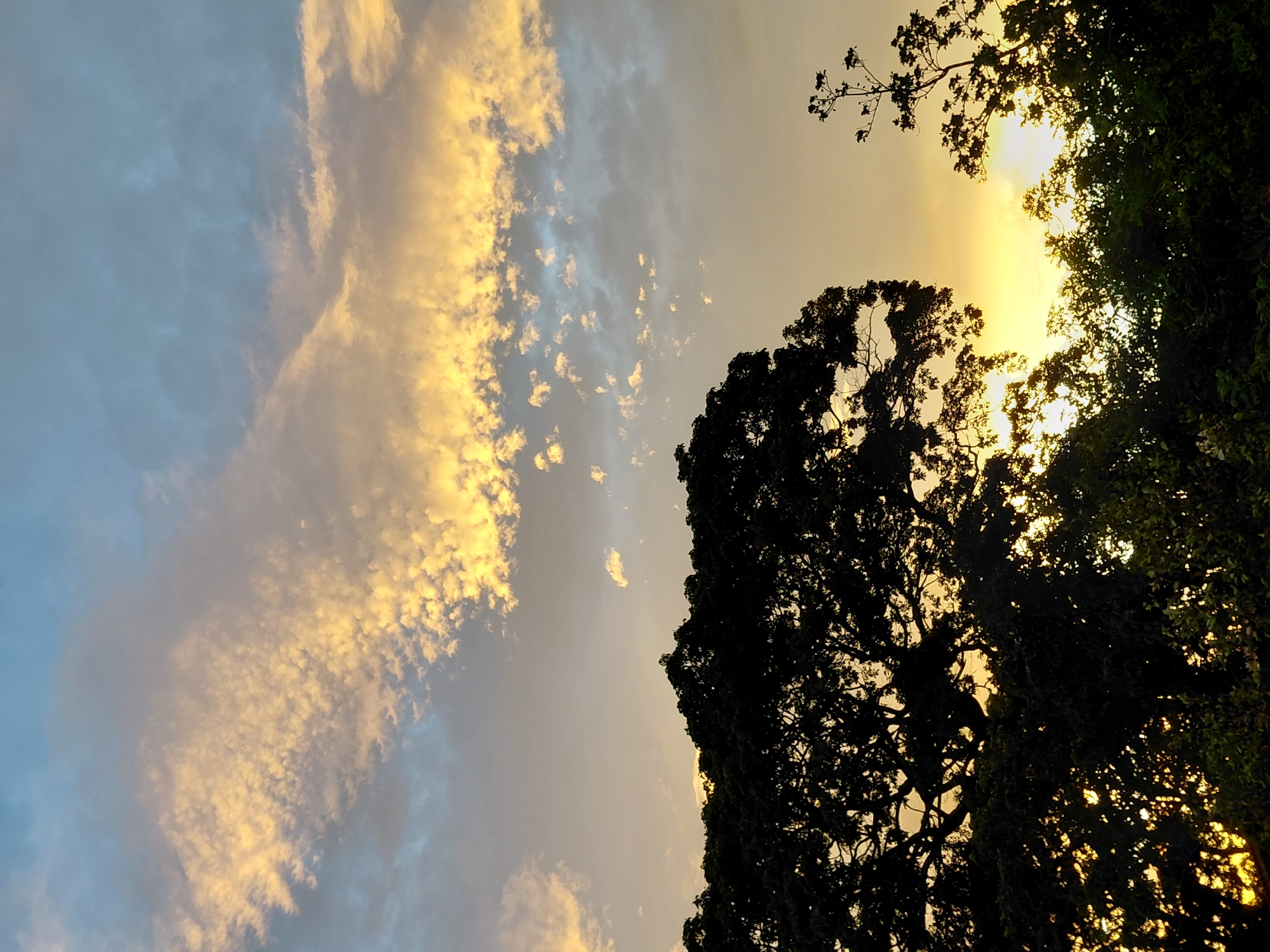 Sunset hour in a Santa Ana, Venezuela neighborhood