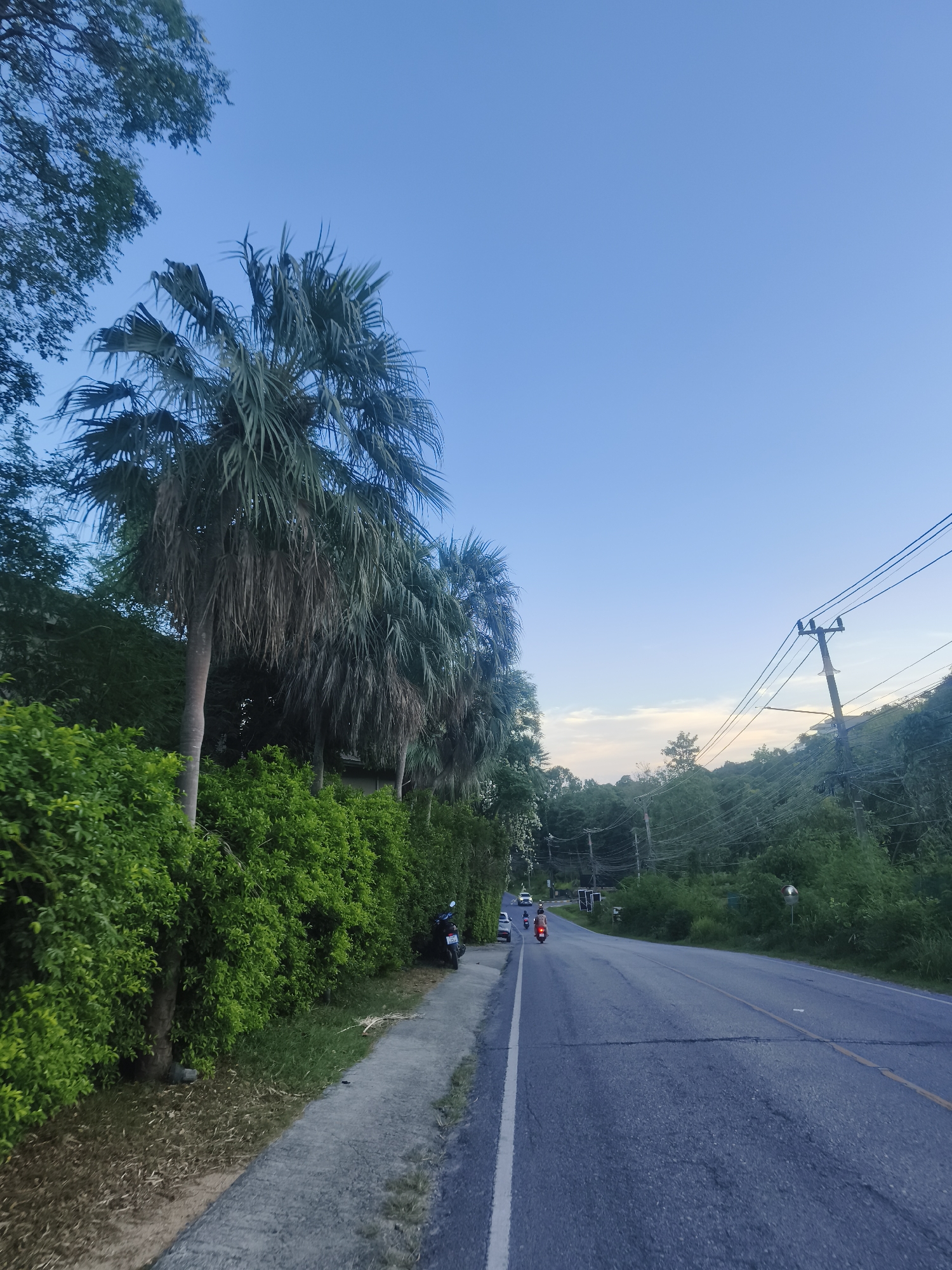 Clear skies over tree-lined road in Choeng Mon, Thailand