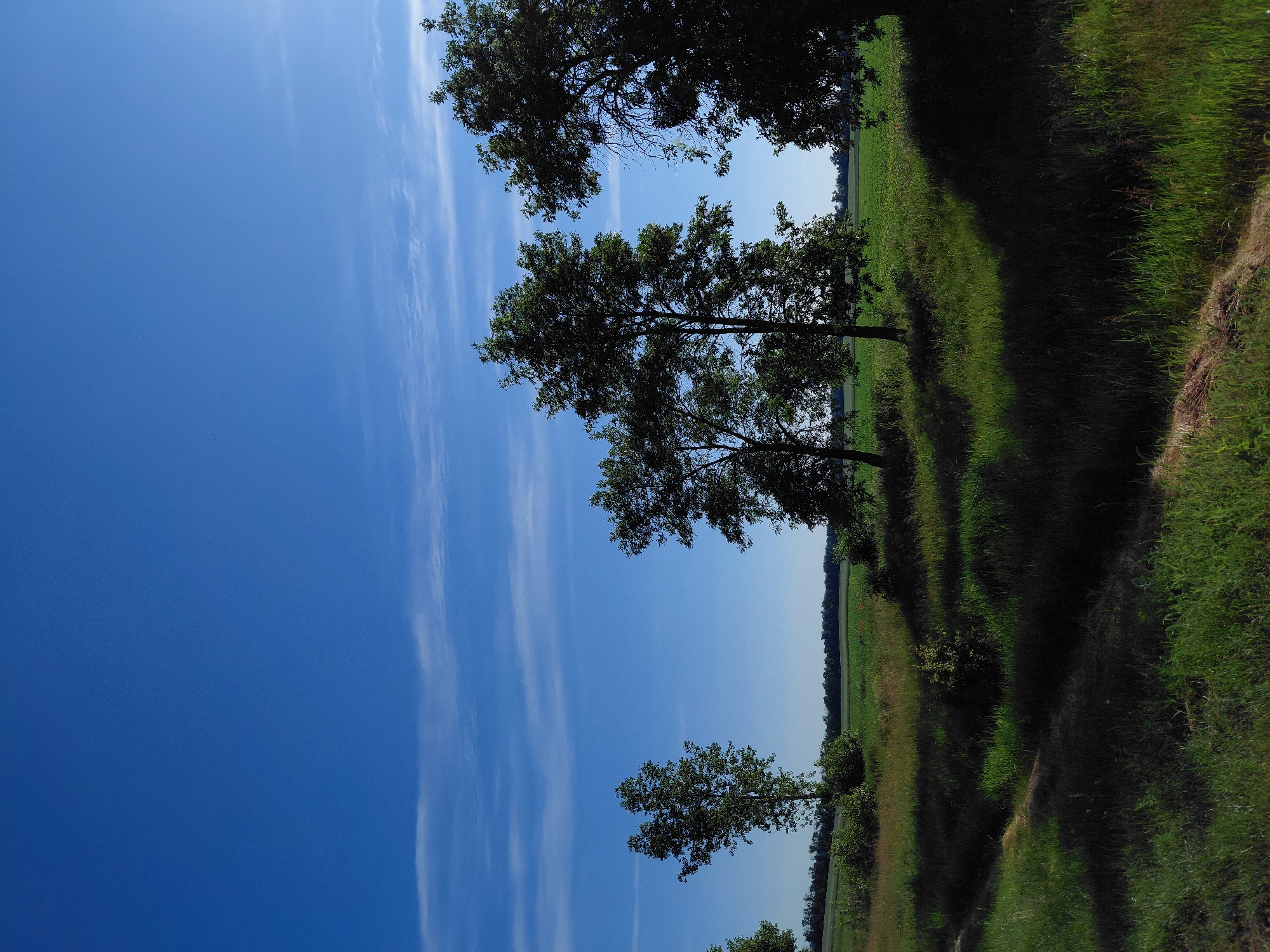 Clear Morning Sky Documented Over Rural Hoholeve Ukraine Fields
